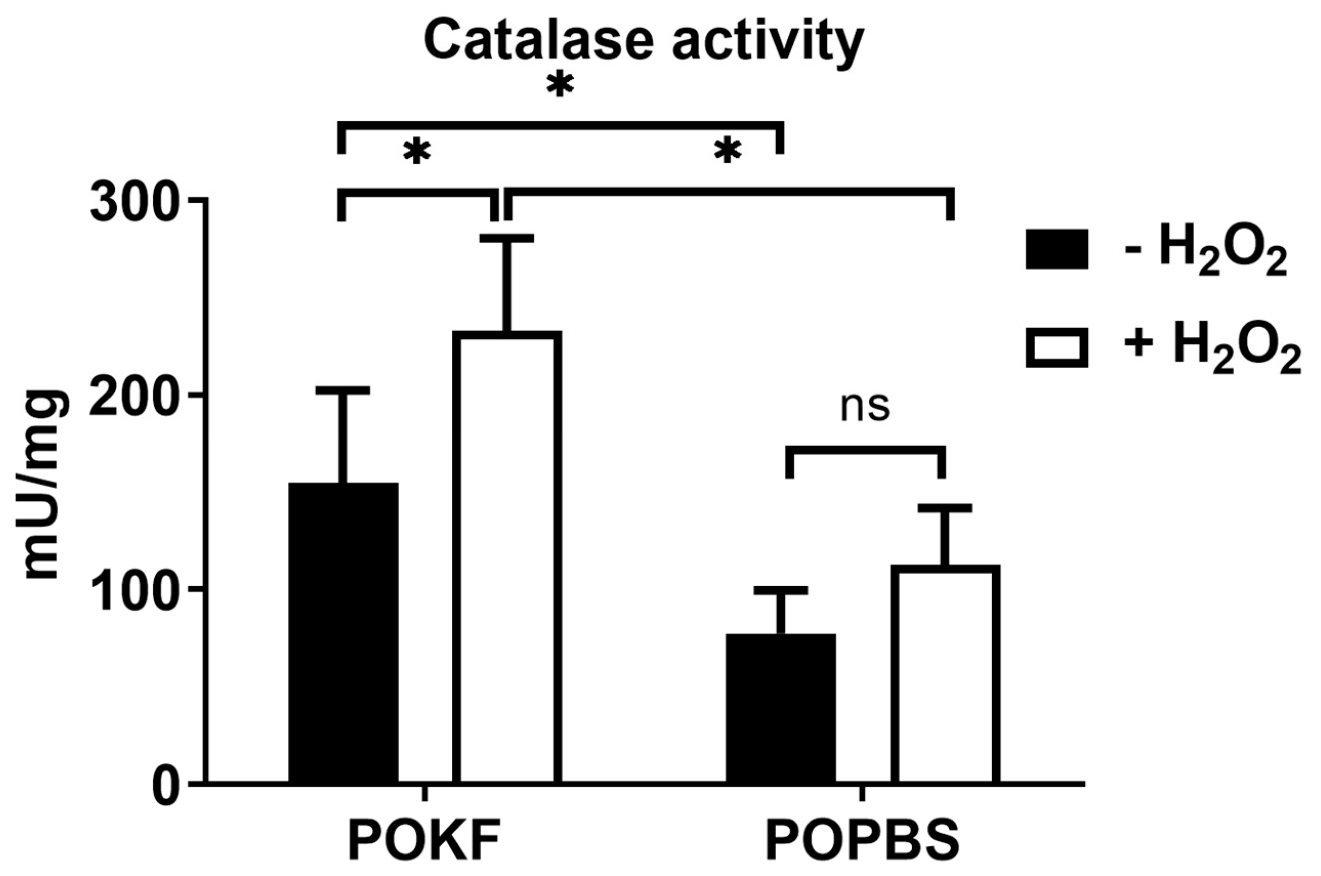 Antioxidants 13 00188 g006