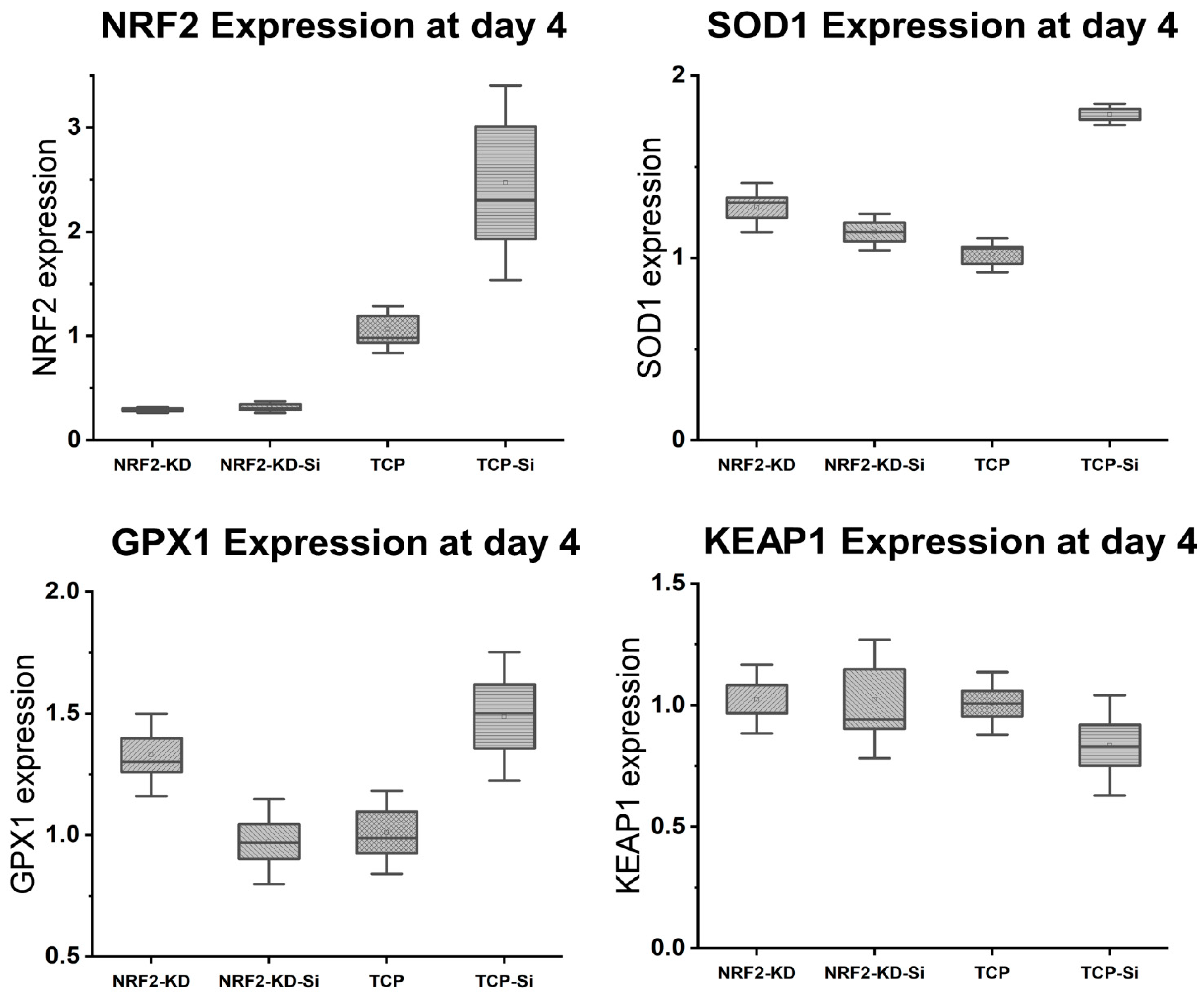 Antioxidants 13 00189 g013