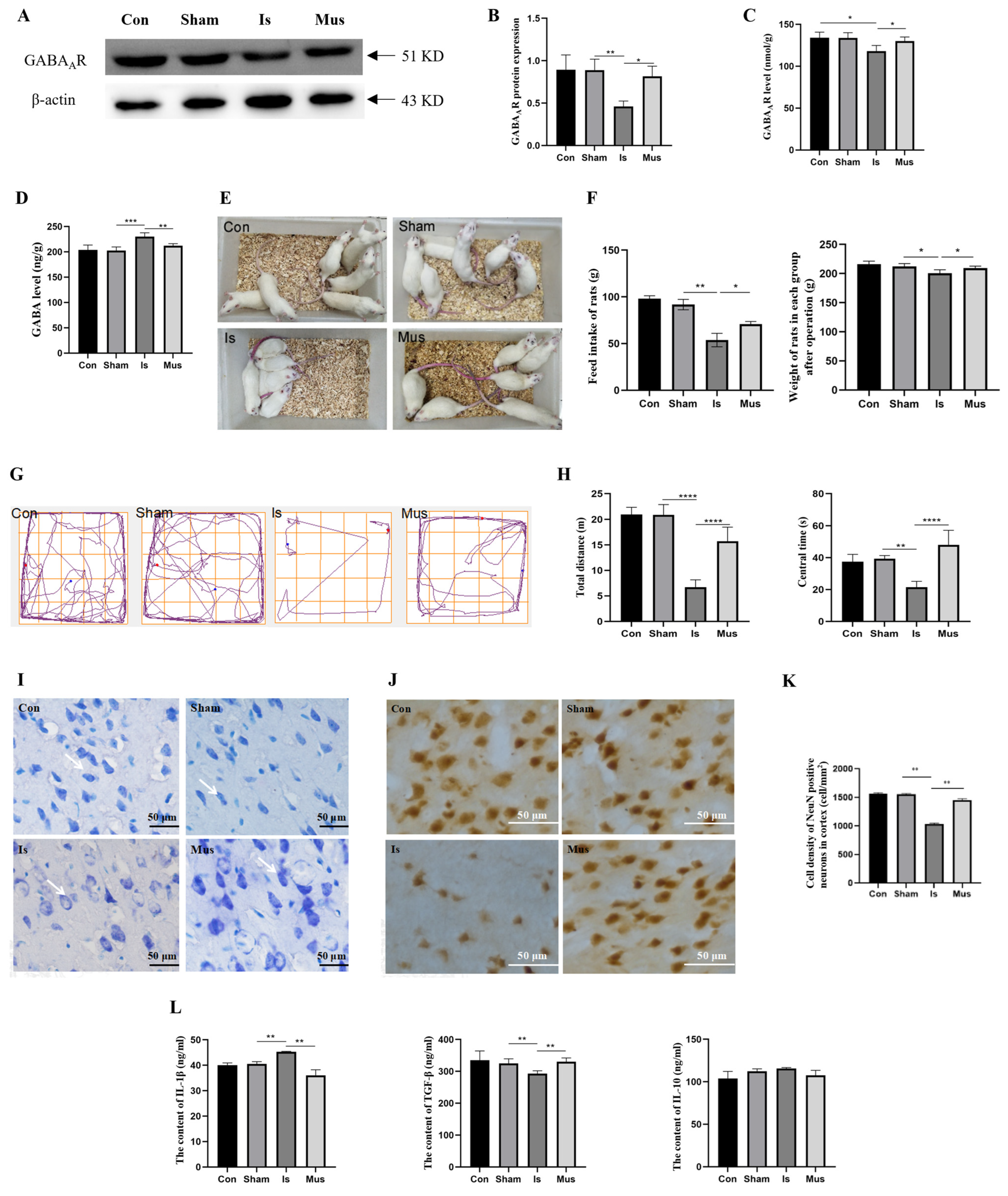 Antioxidants 13 00194 g001