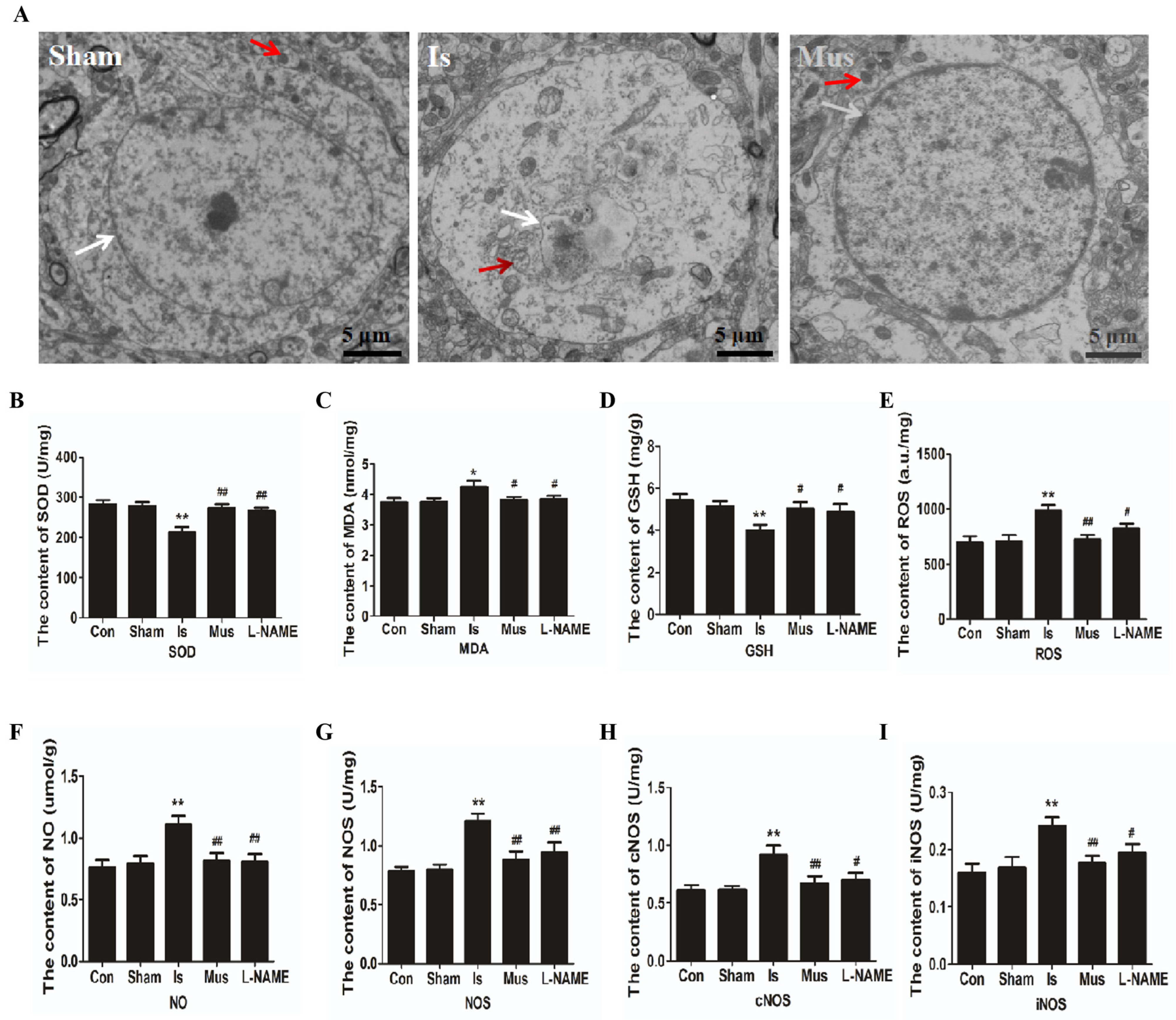 Antioxidants 13 00194 g002