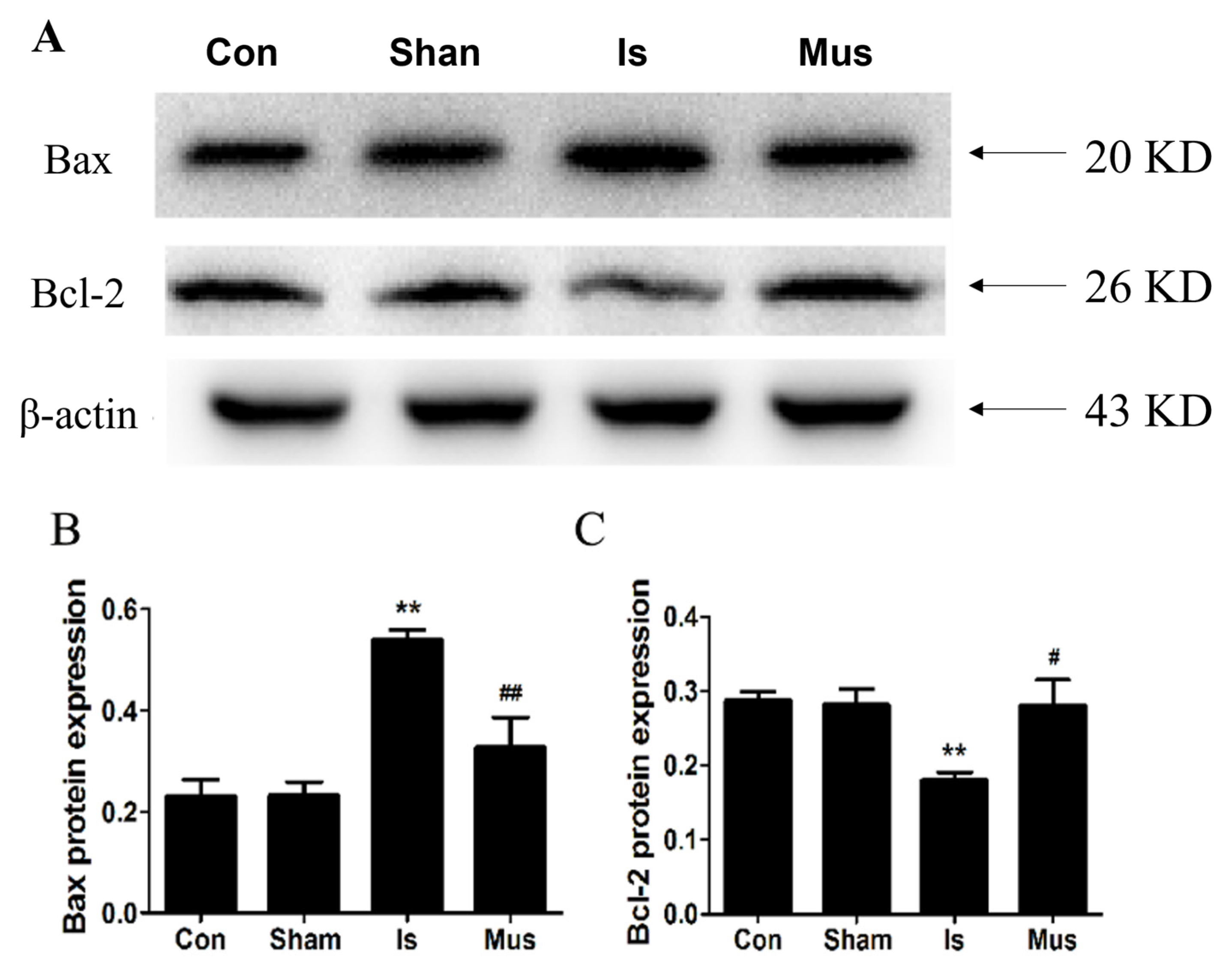 Antioxidants 13 00194 g006