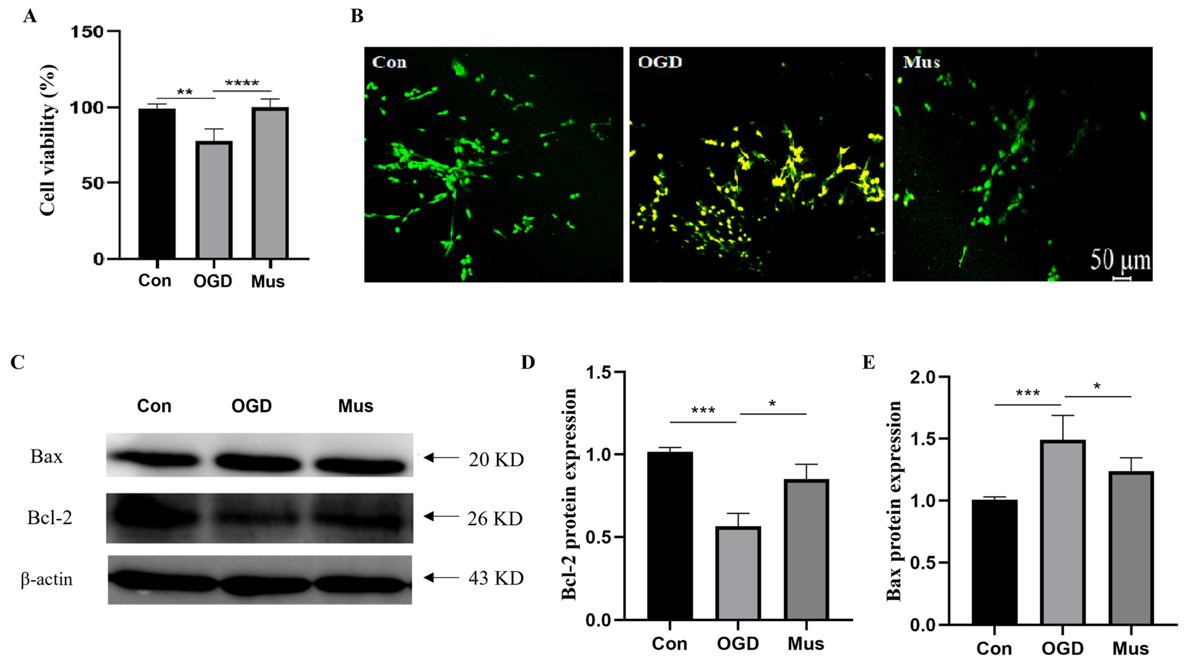 Antioxidants 13 00194 g007