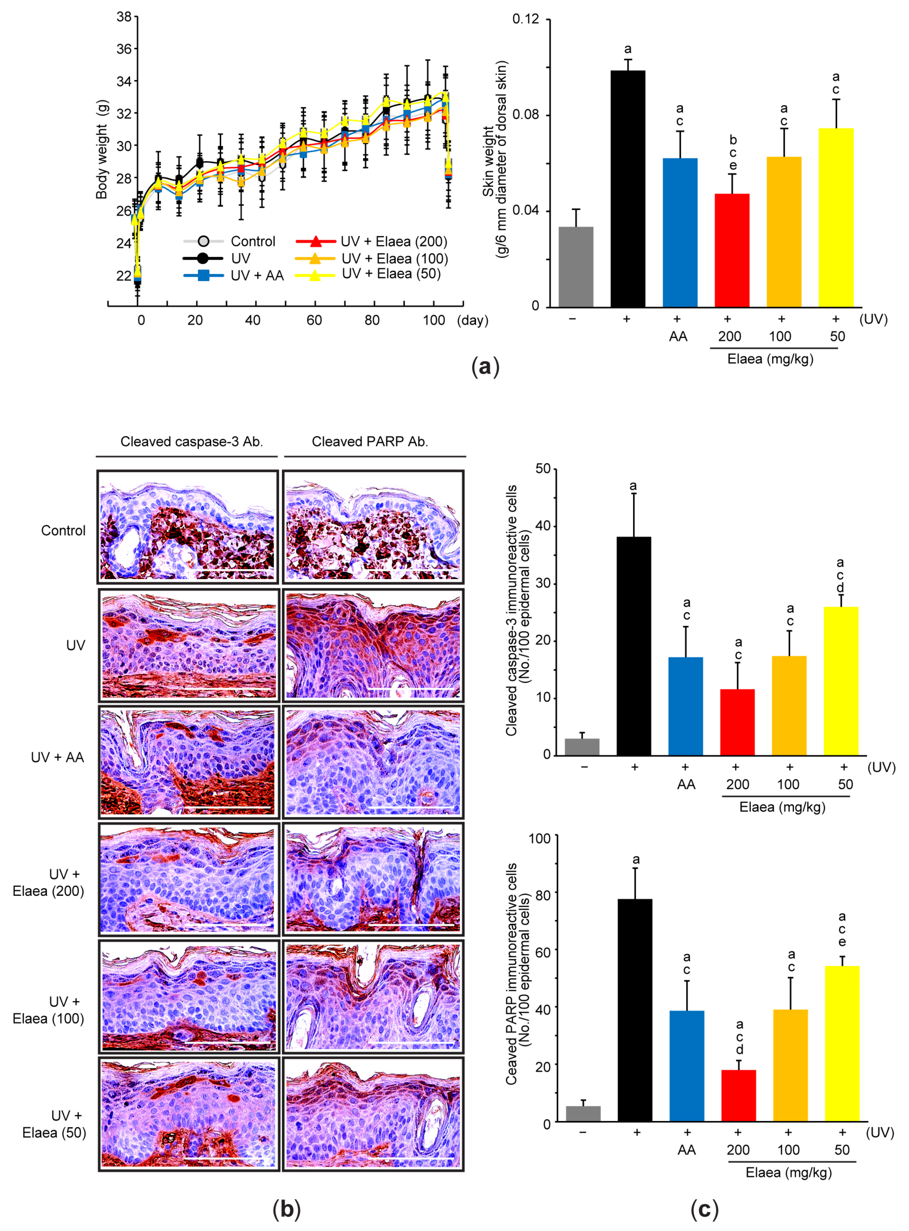 Antioxidants 13 00195 g002