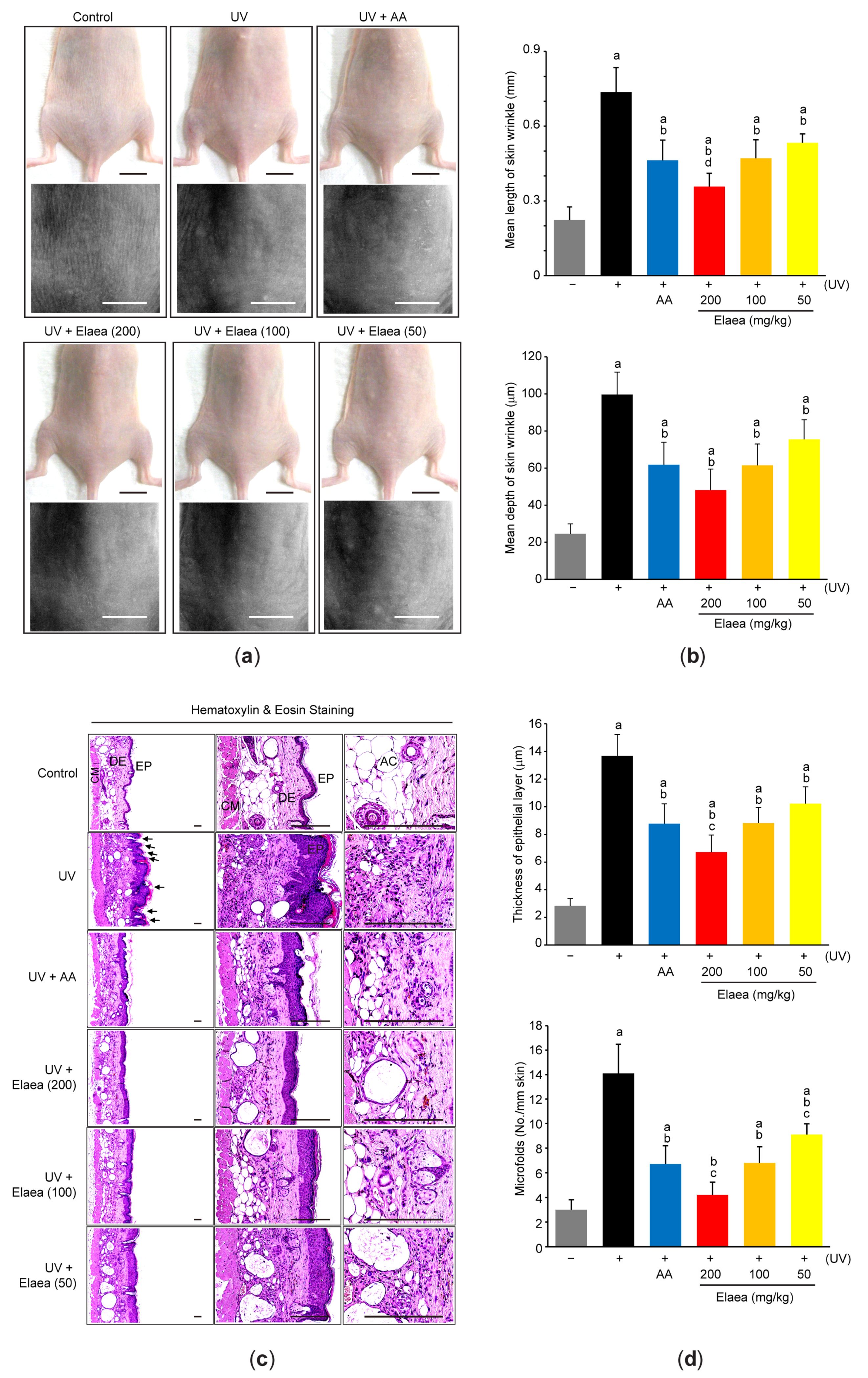 Antioxidants 13 00195 g003