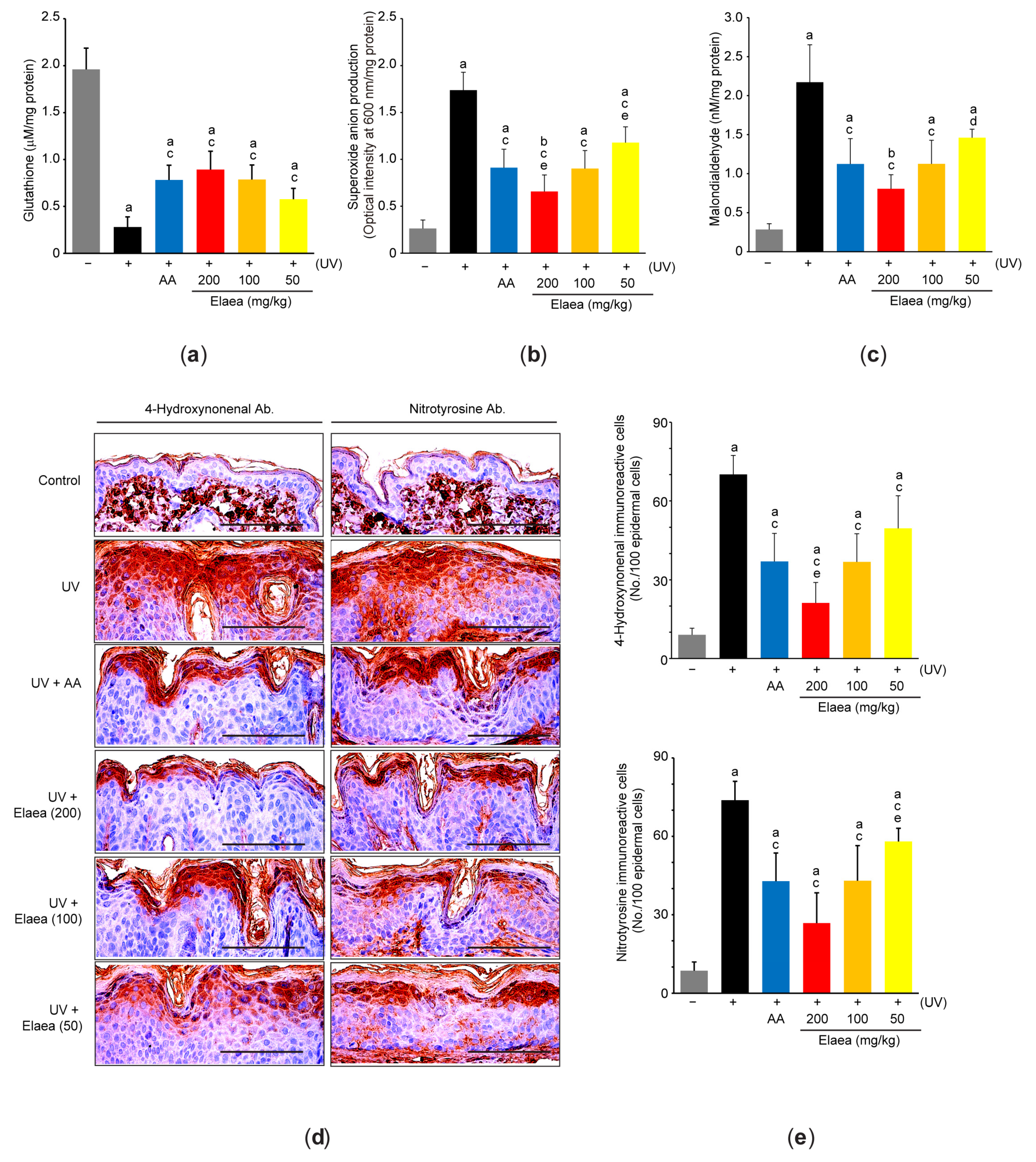 Antioxidants 13 00195 g005