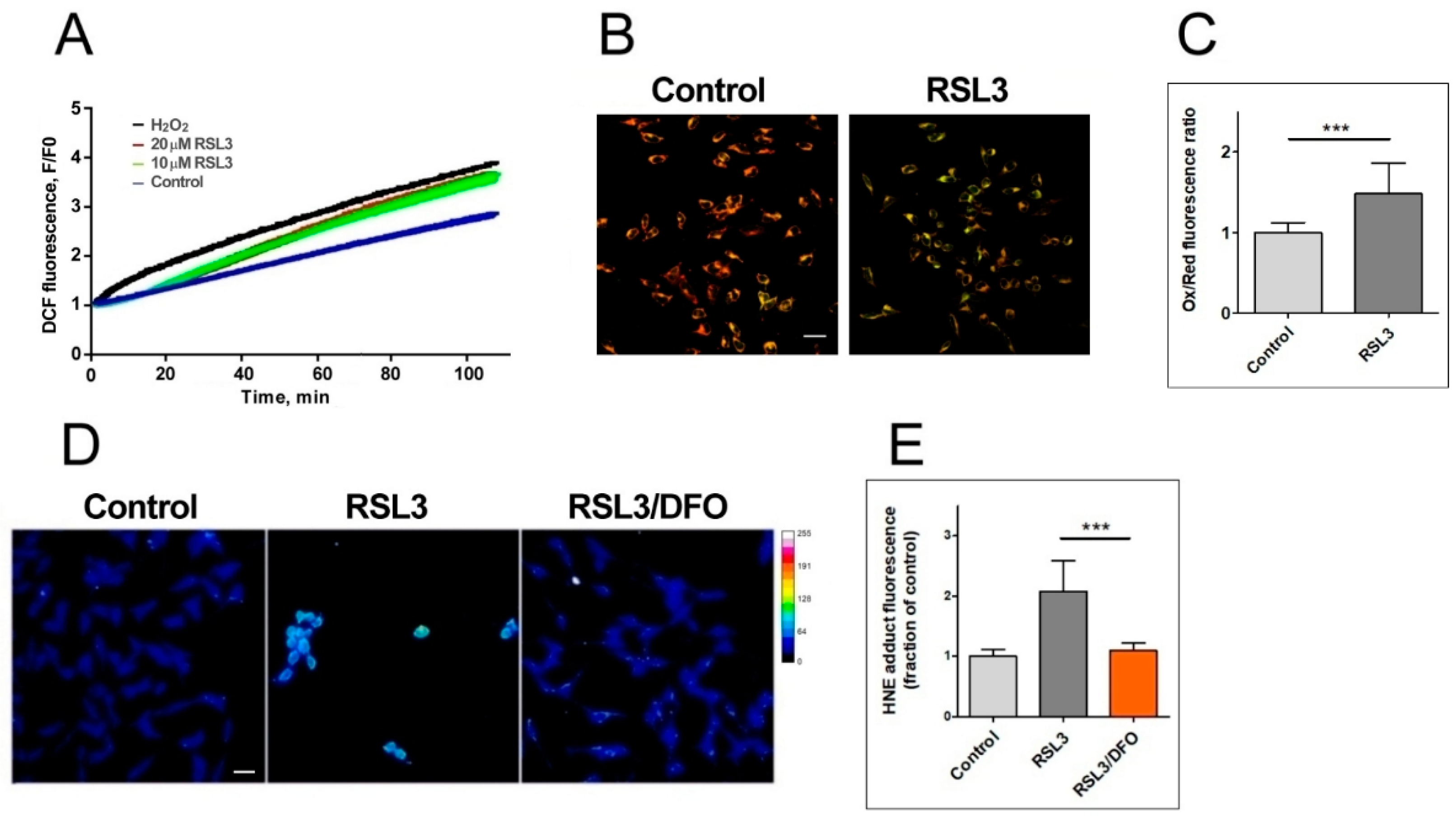 Antioxidants 13 00196 g003