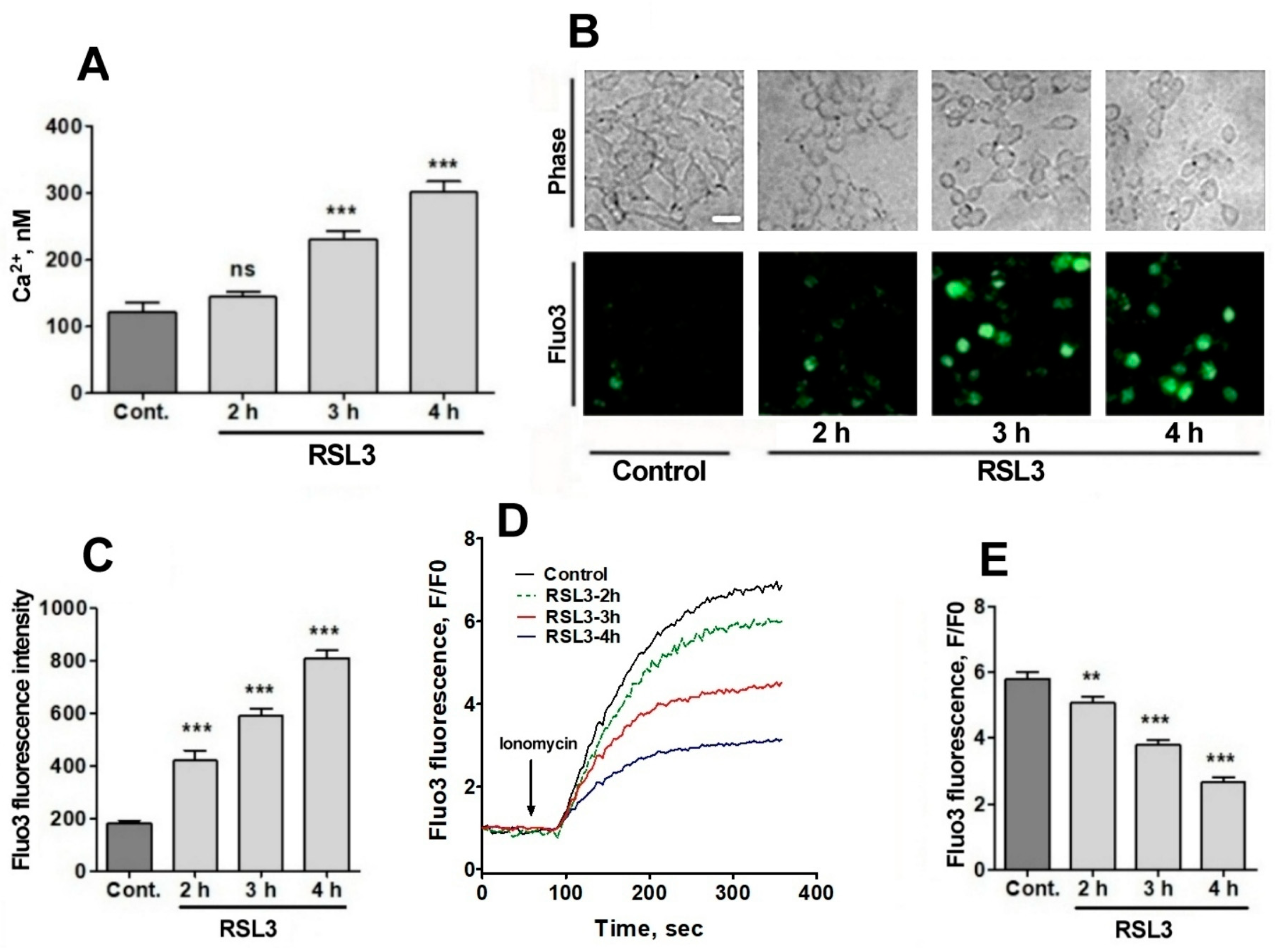 Antioxidants 13 00196 g005