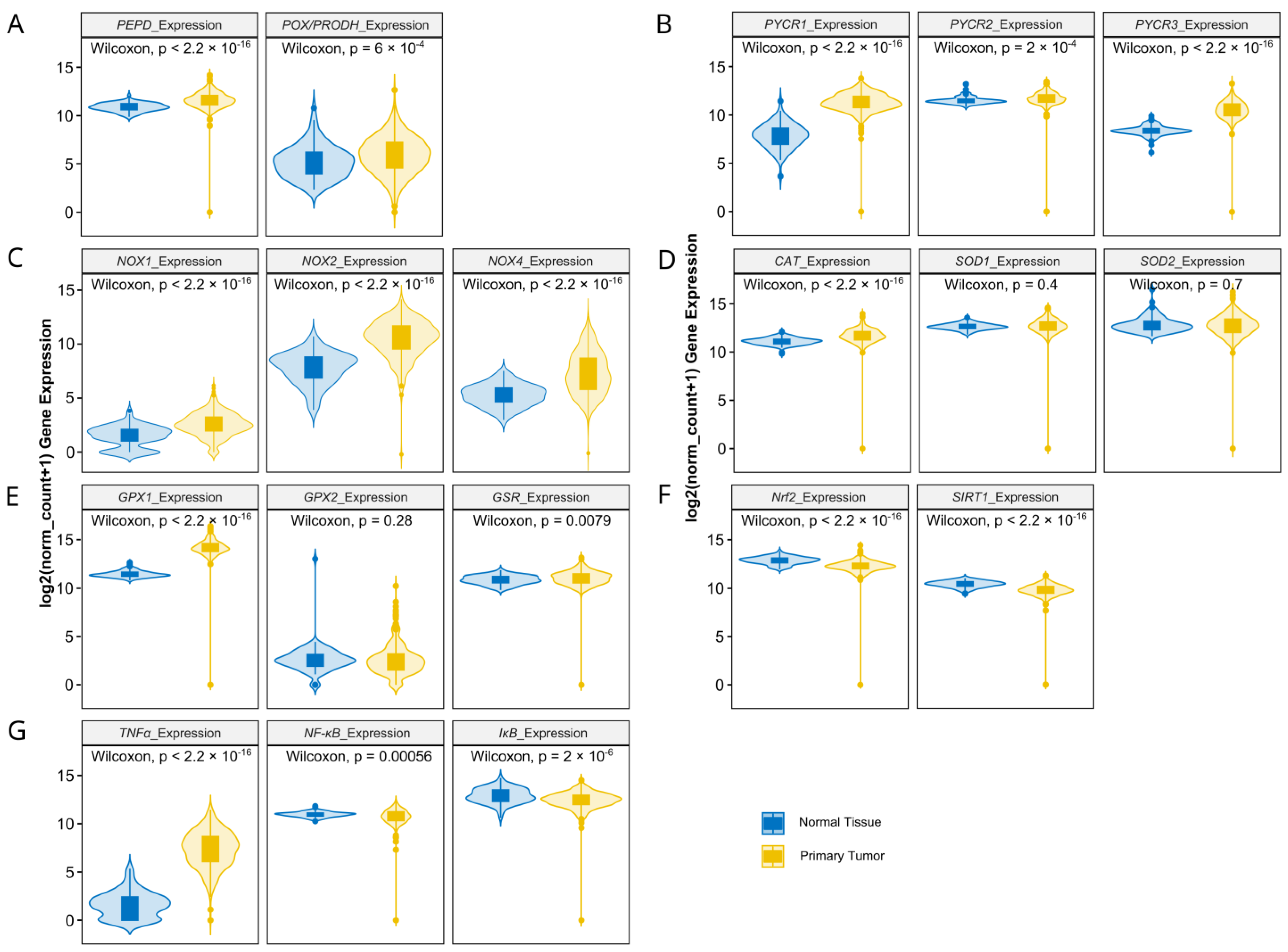 Antioxidants 13 00200 g002