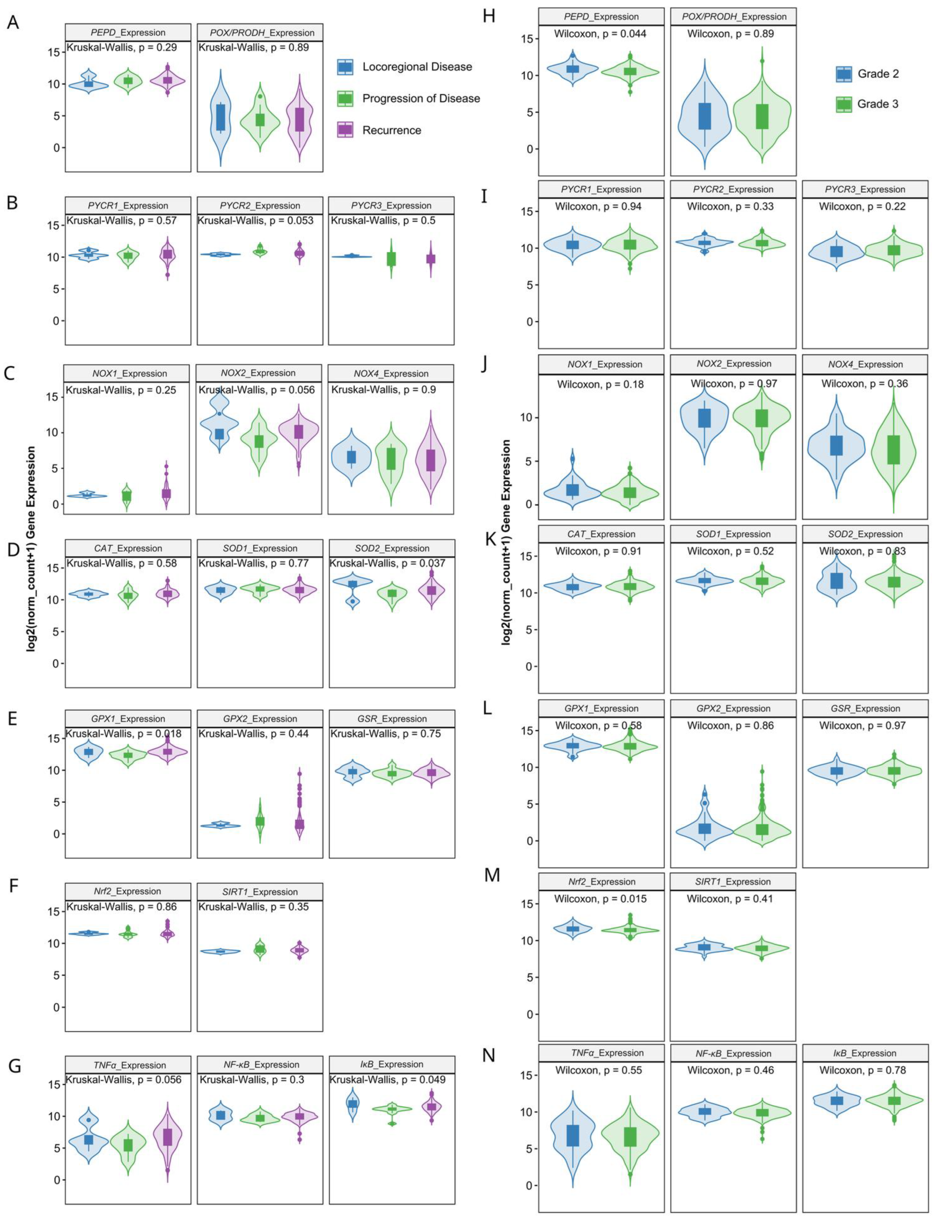 Antioxidants 13 00200 g004
