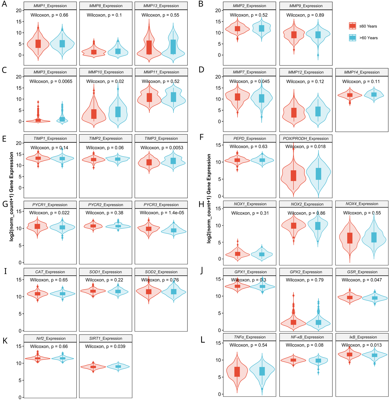 Antioxidants 13 00200 g007