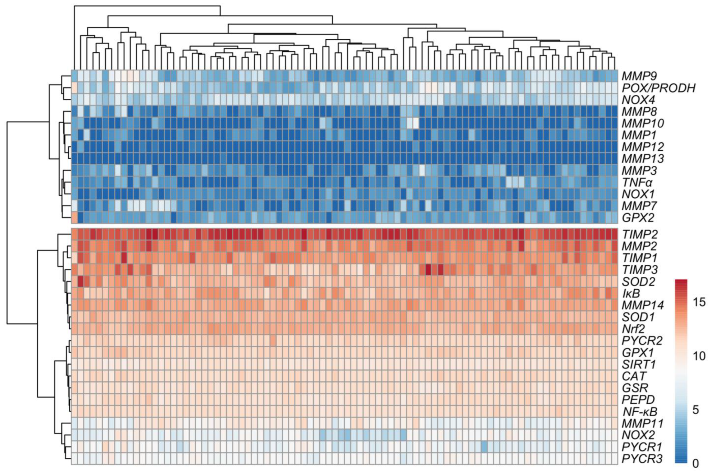Antioxidants 13 00200 g008