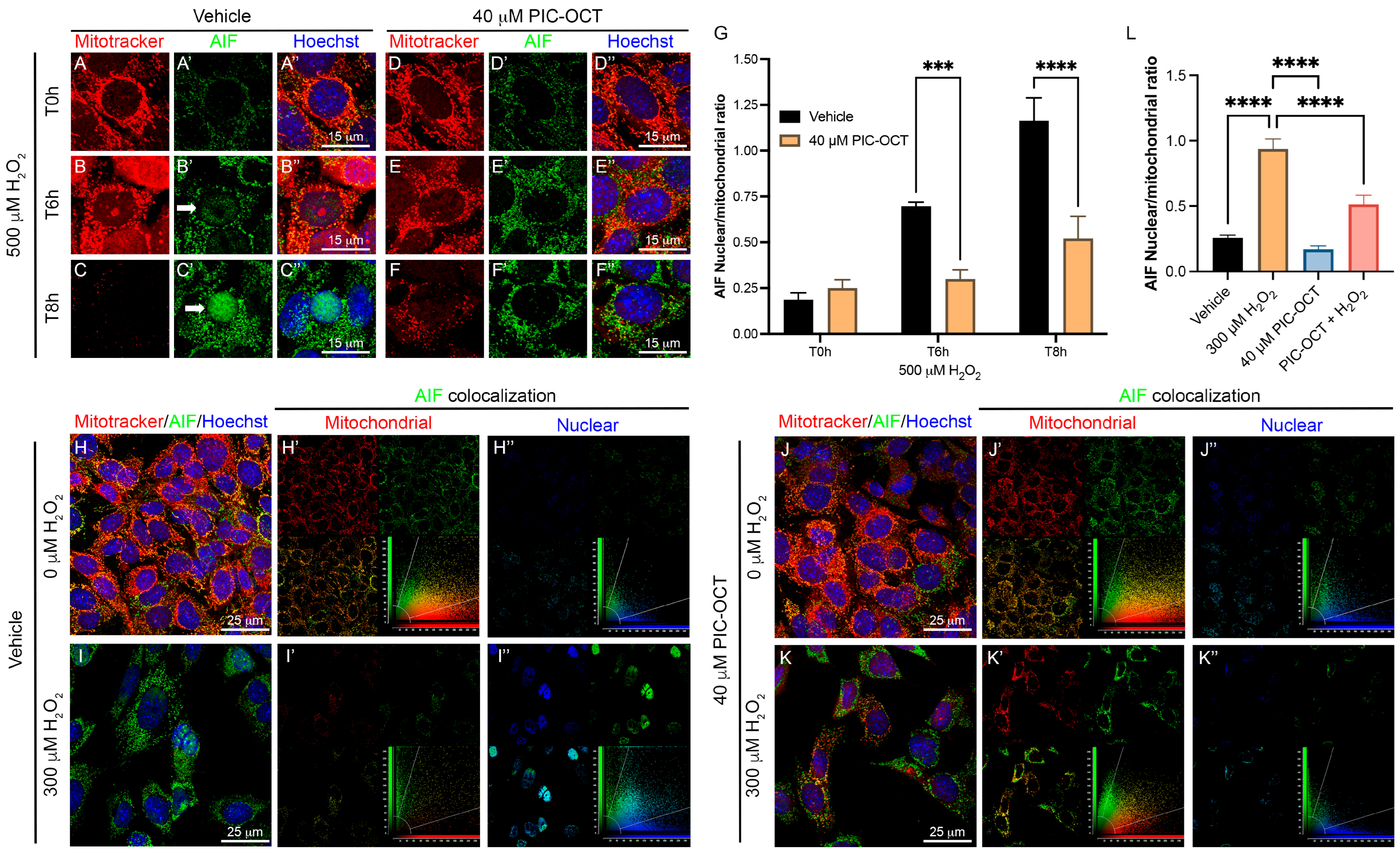 Antioxidants 13 00201 g007