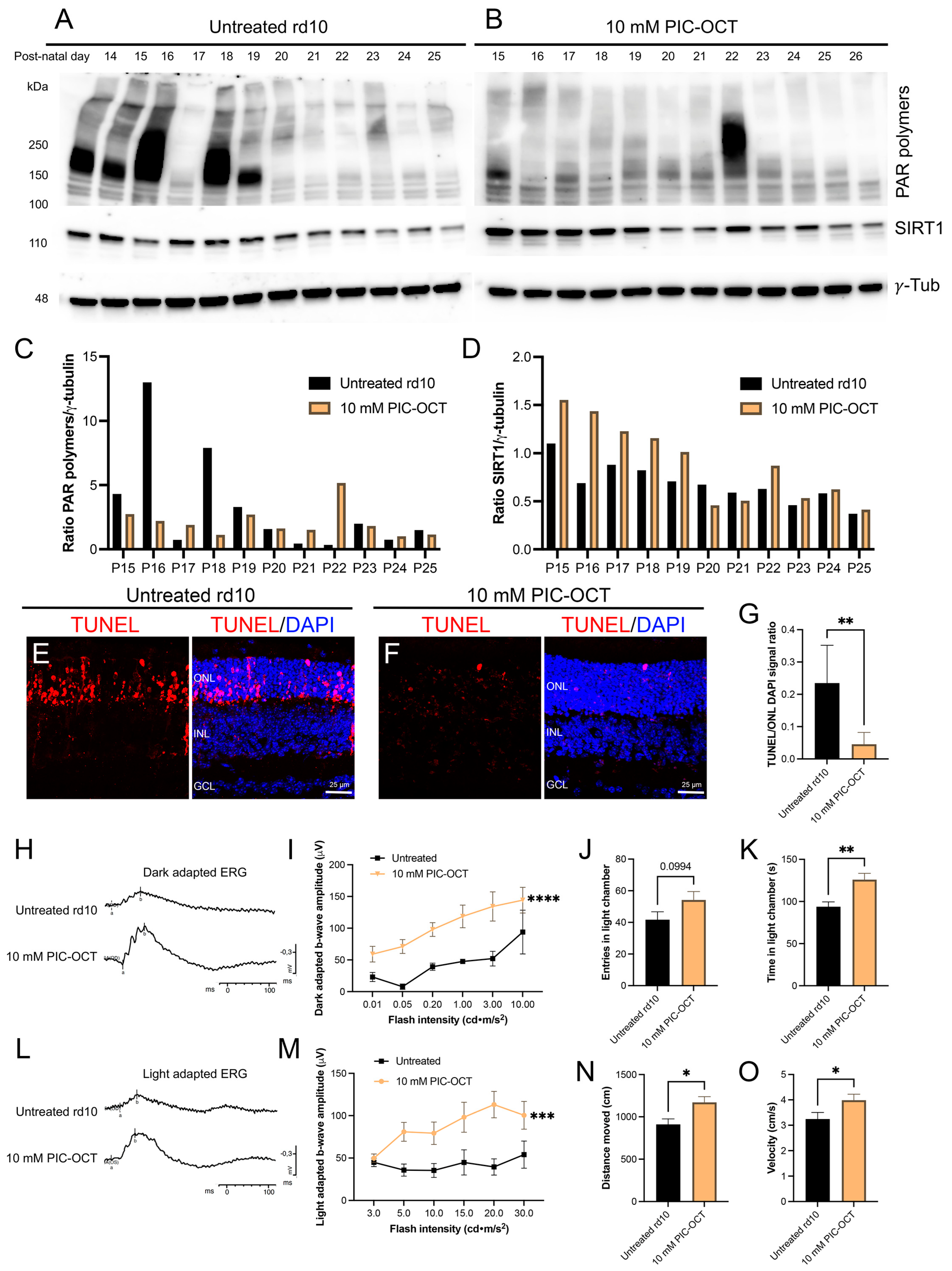 Antioxidants 13 00201 g008