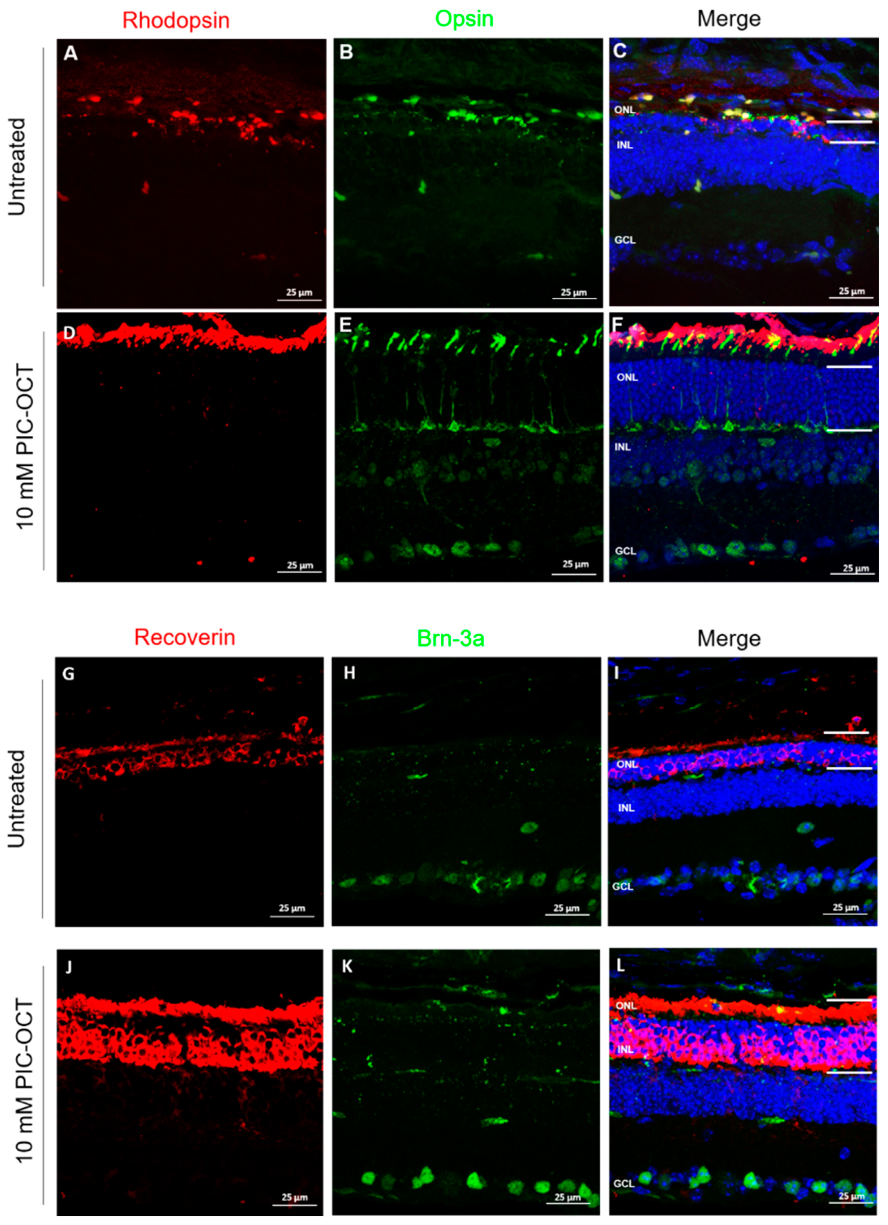 Antioxidants 13 00201 g009