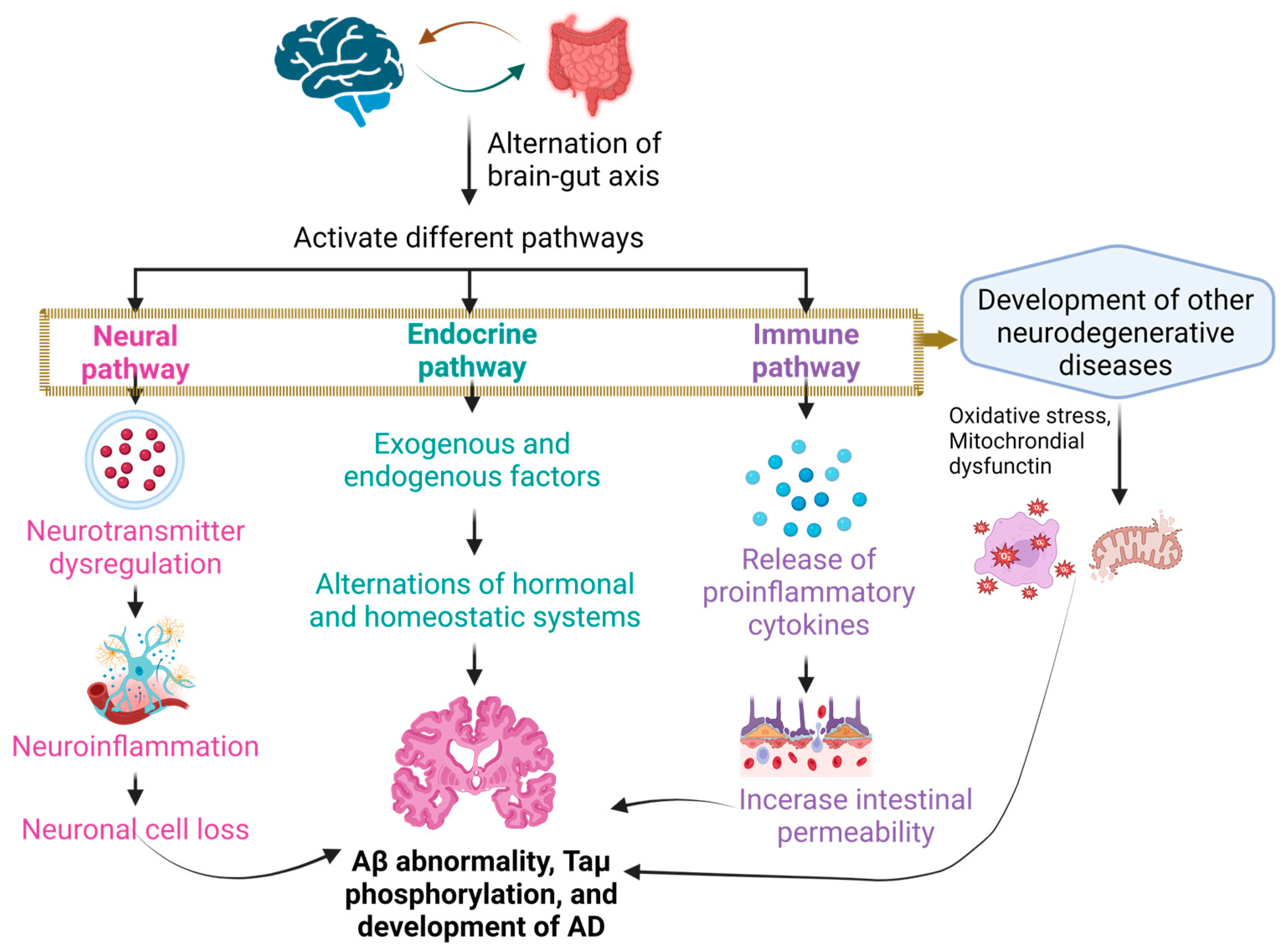 Antioxidants 13 00202 g001