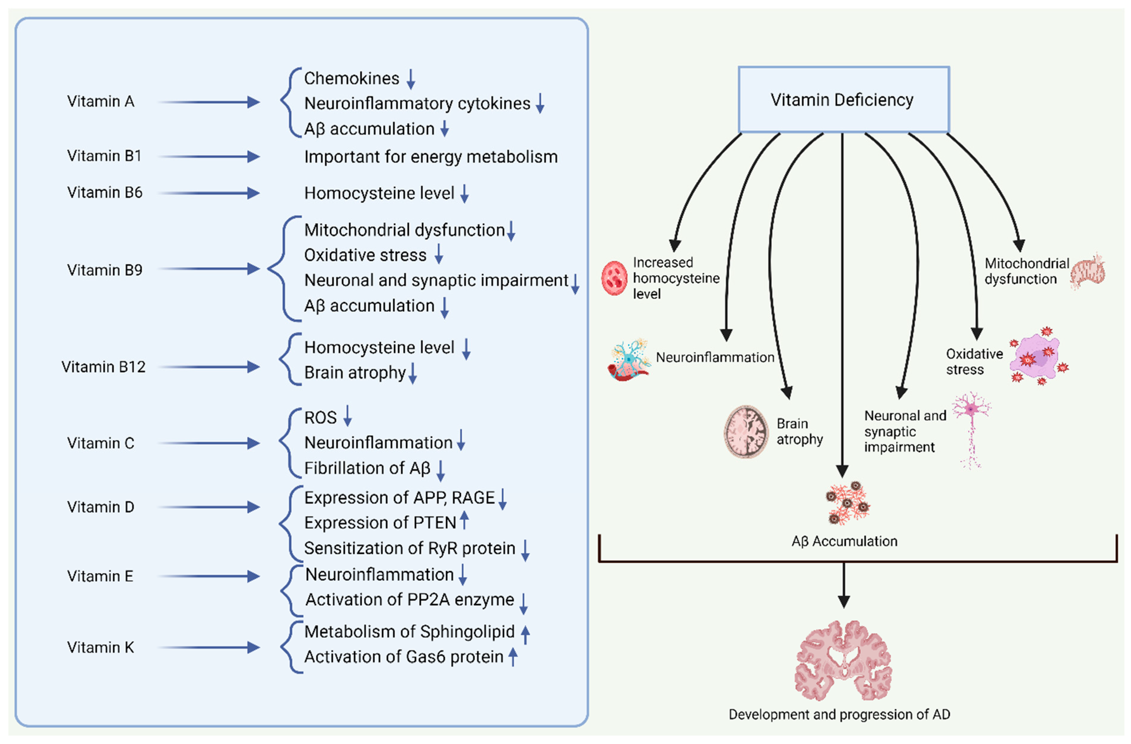Antioxidants 13 00202 g002