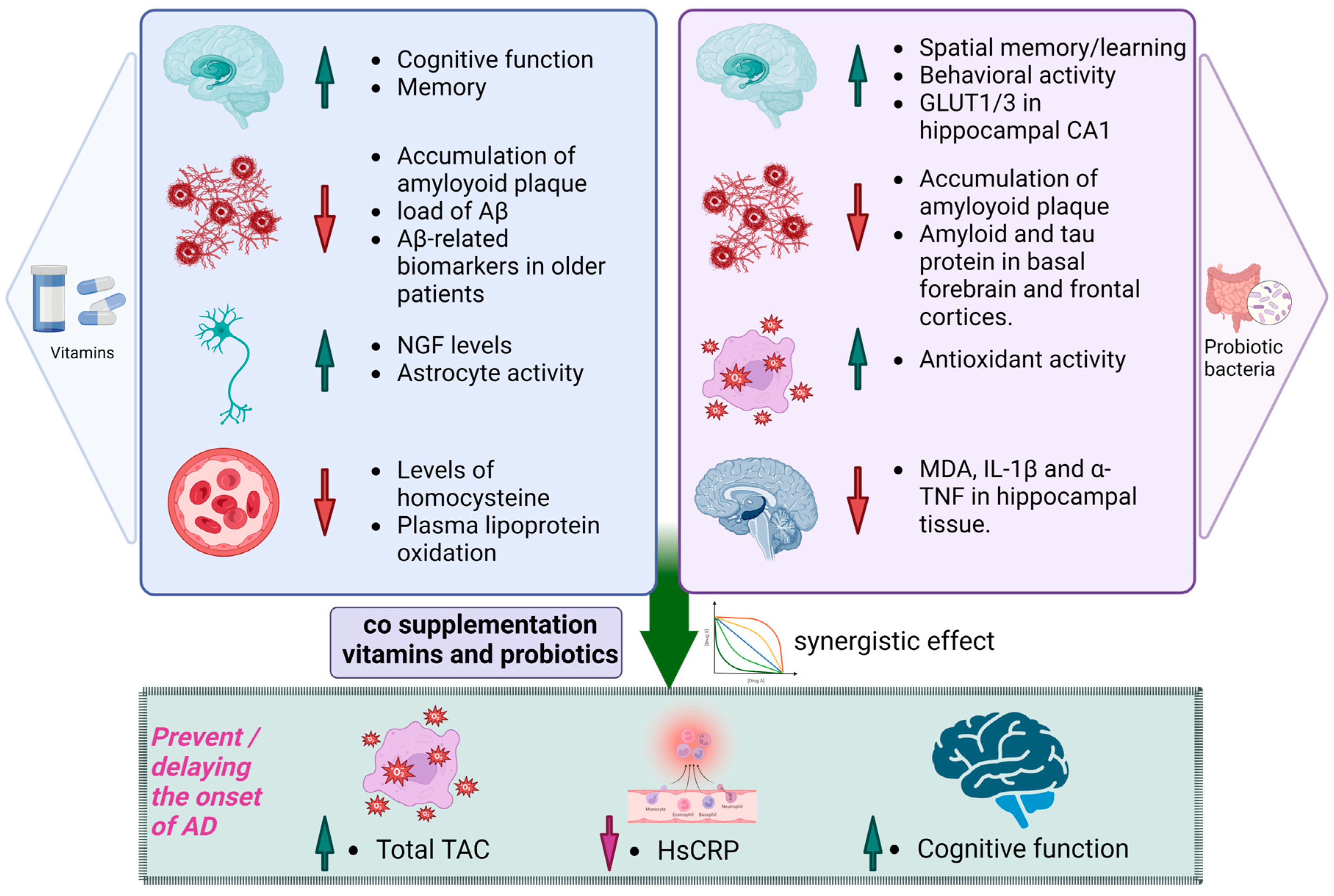 Antioxidants 13 00202 g003