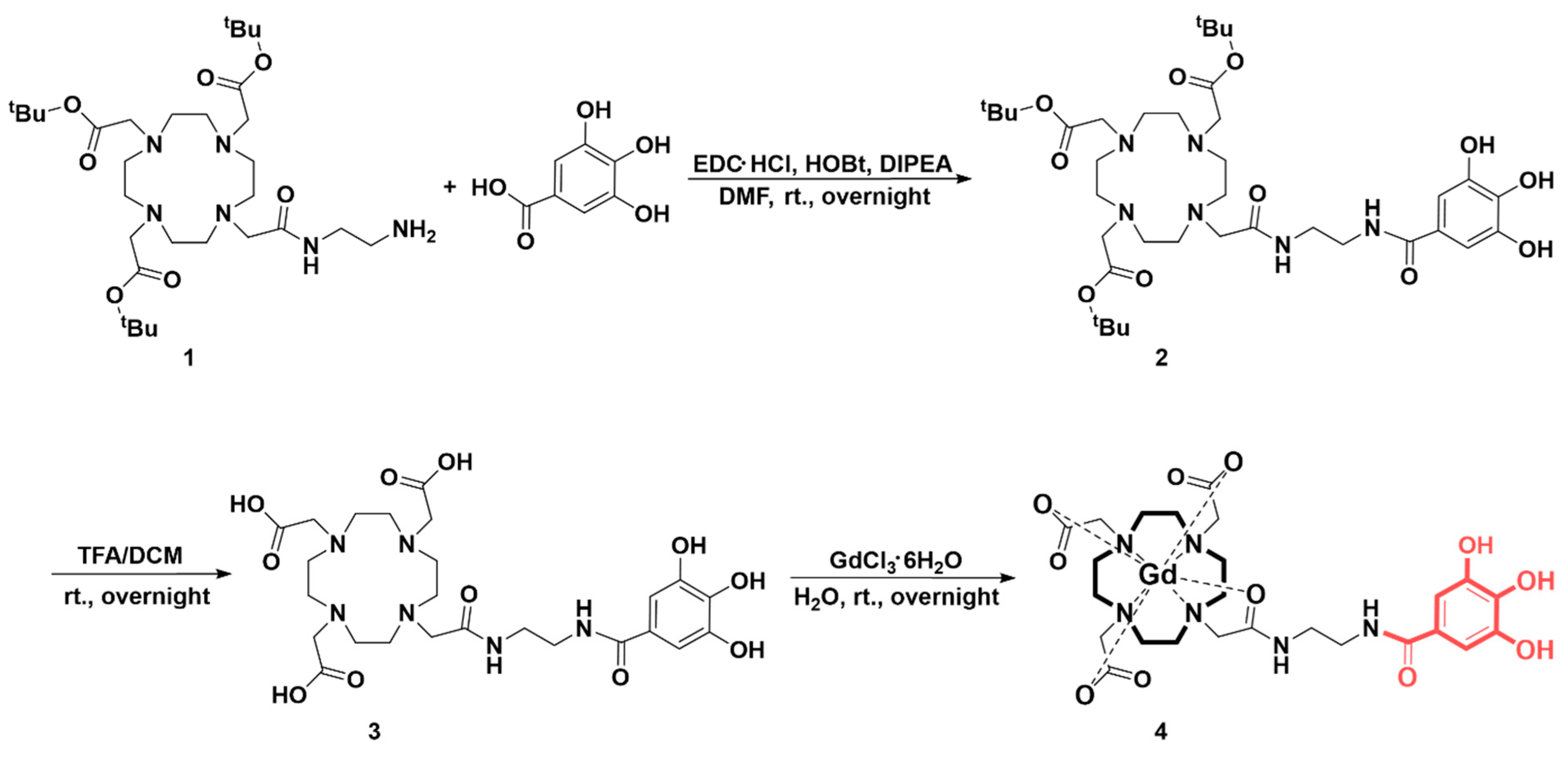 Antioxidants 13 00204 g001