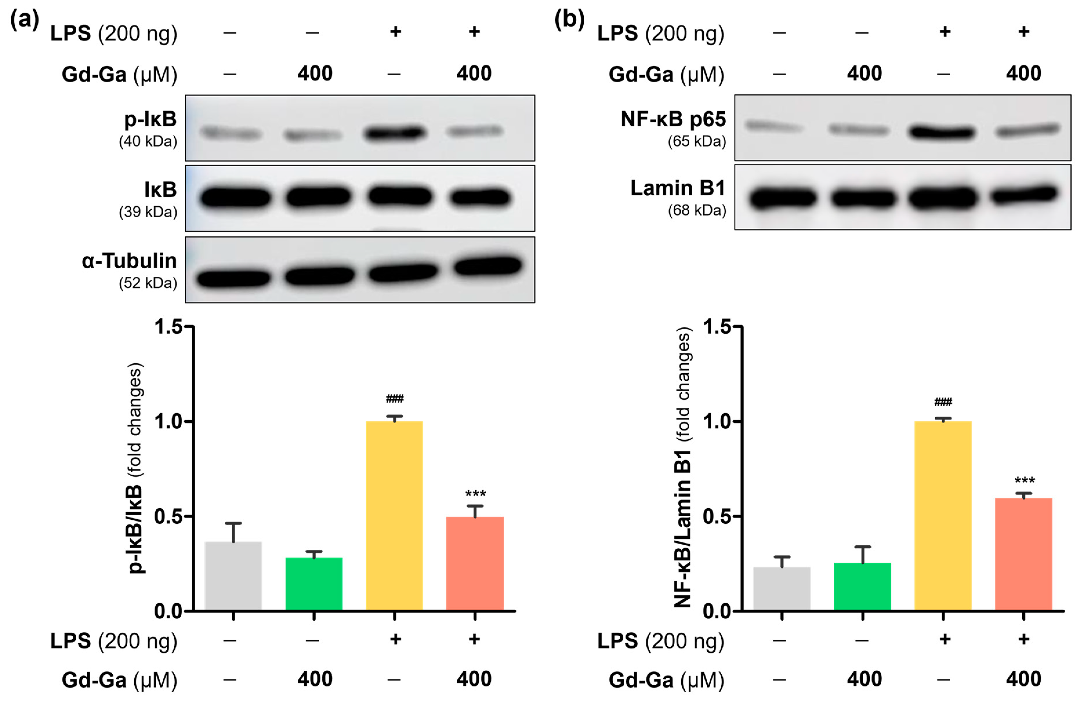 Antioxidants 13 00204 g005