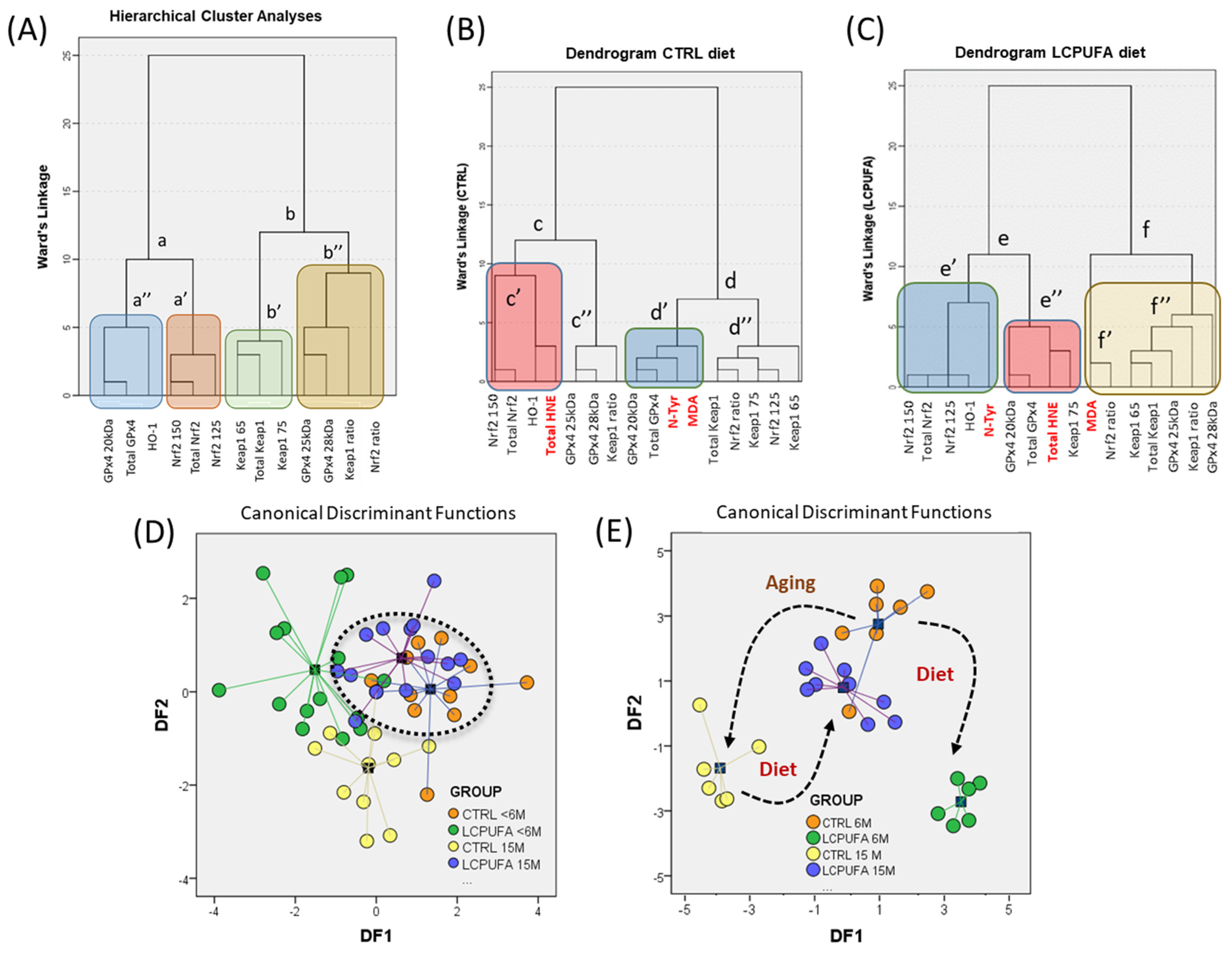 Antioxidants 13 00206 g007