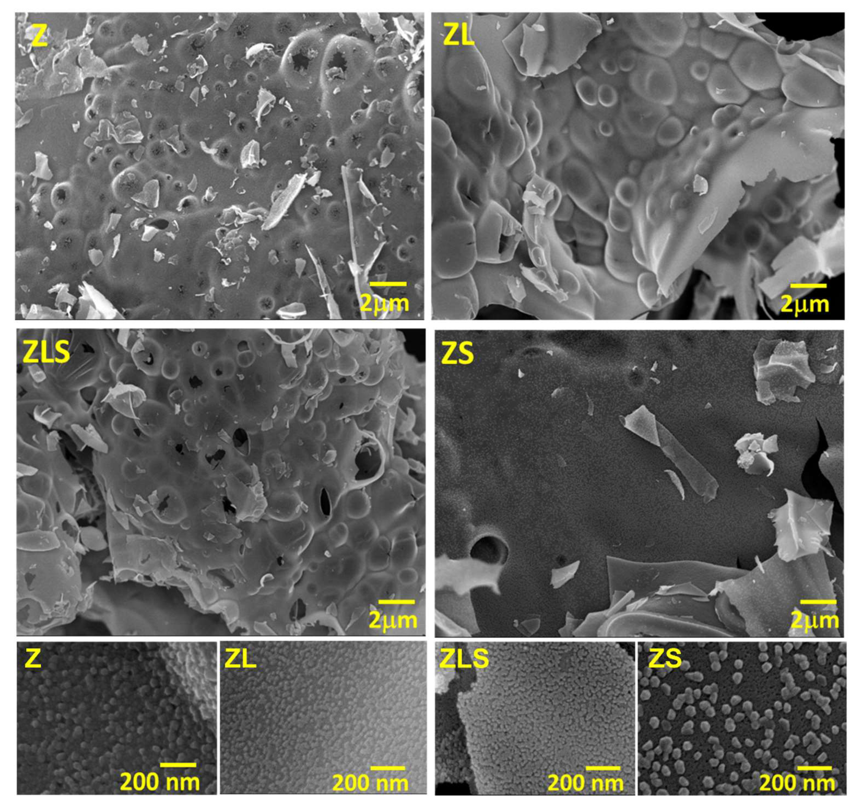 Antioxidants 13 00213 g002