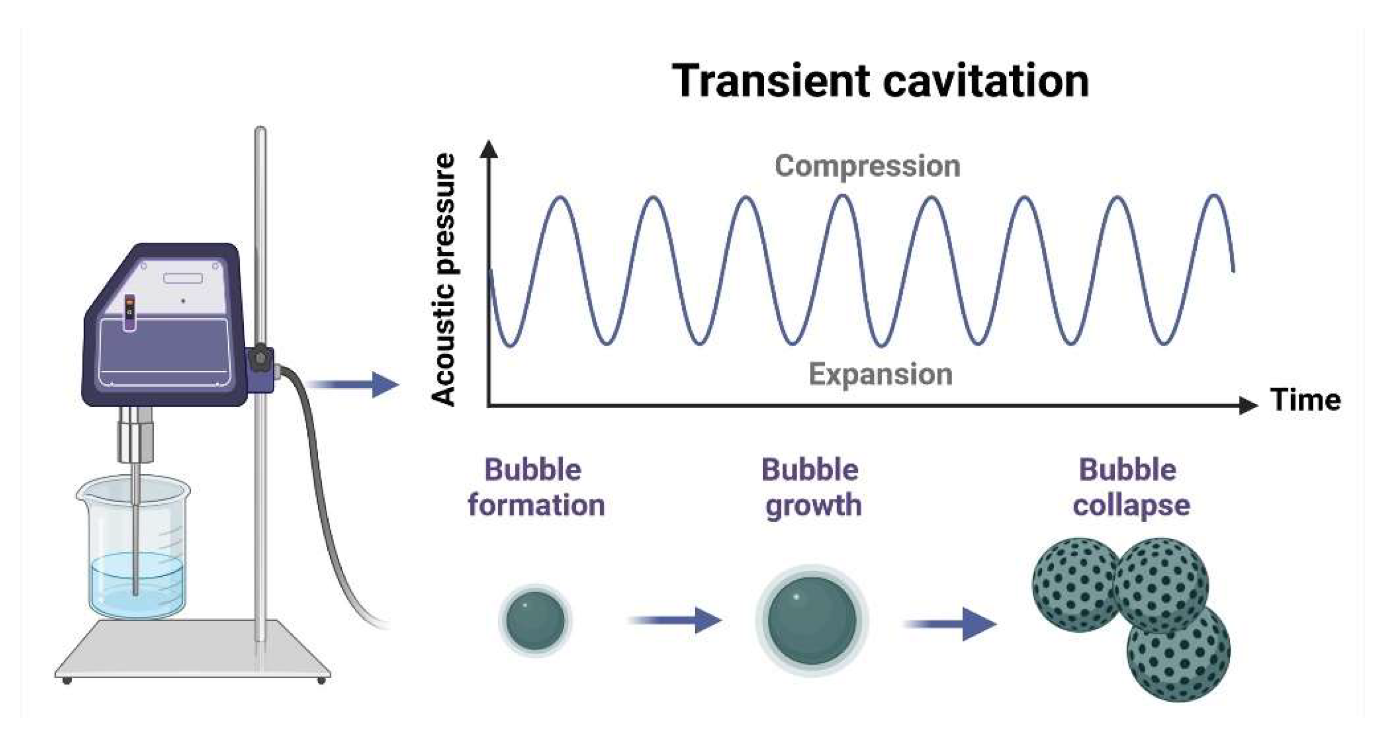 Antioxidants 13 00213 g003