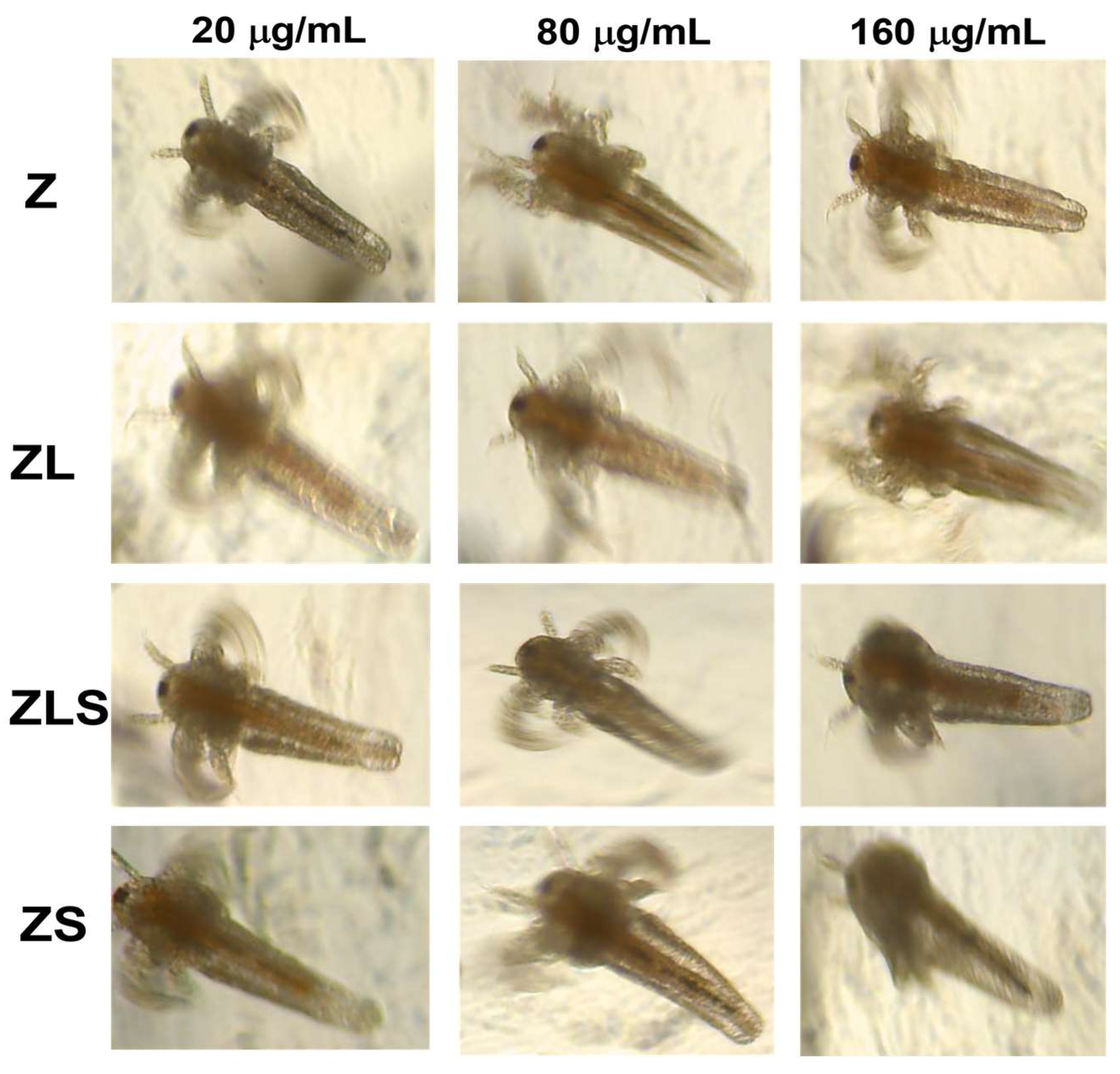 Antioxidants 13 00213 g009