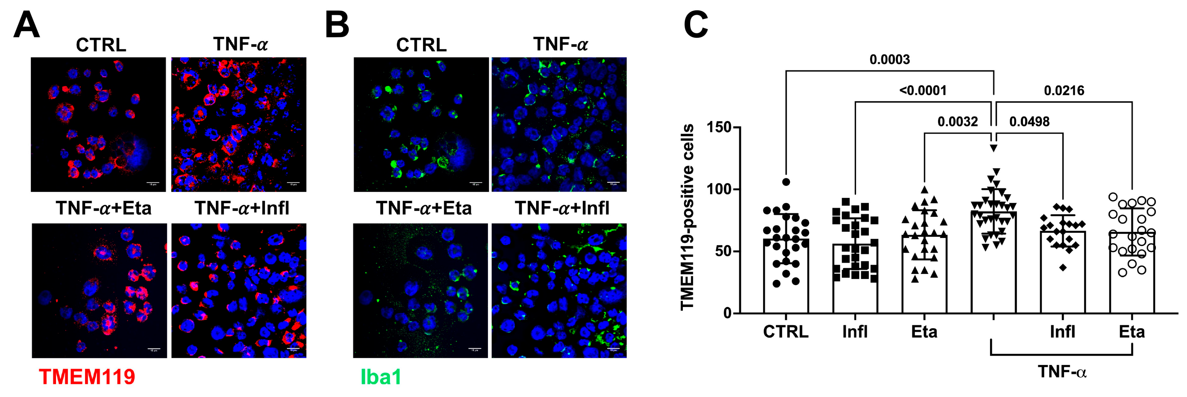 Antioxidants 13 00216 g002