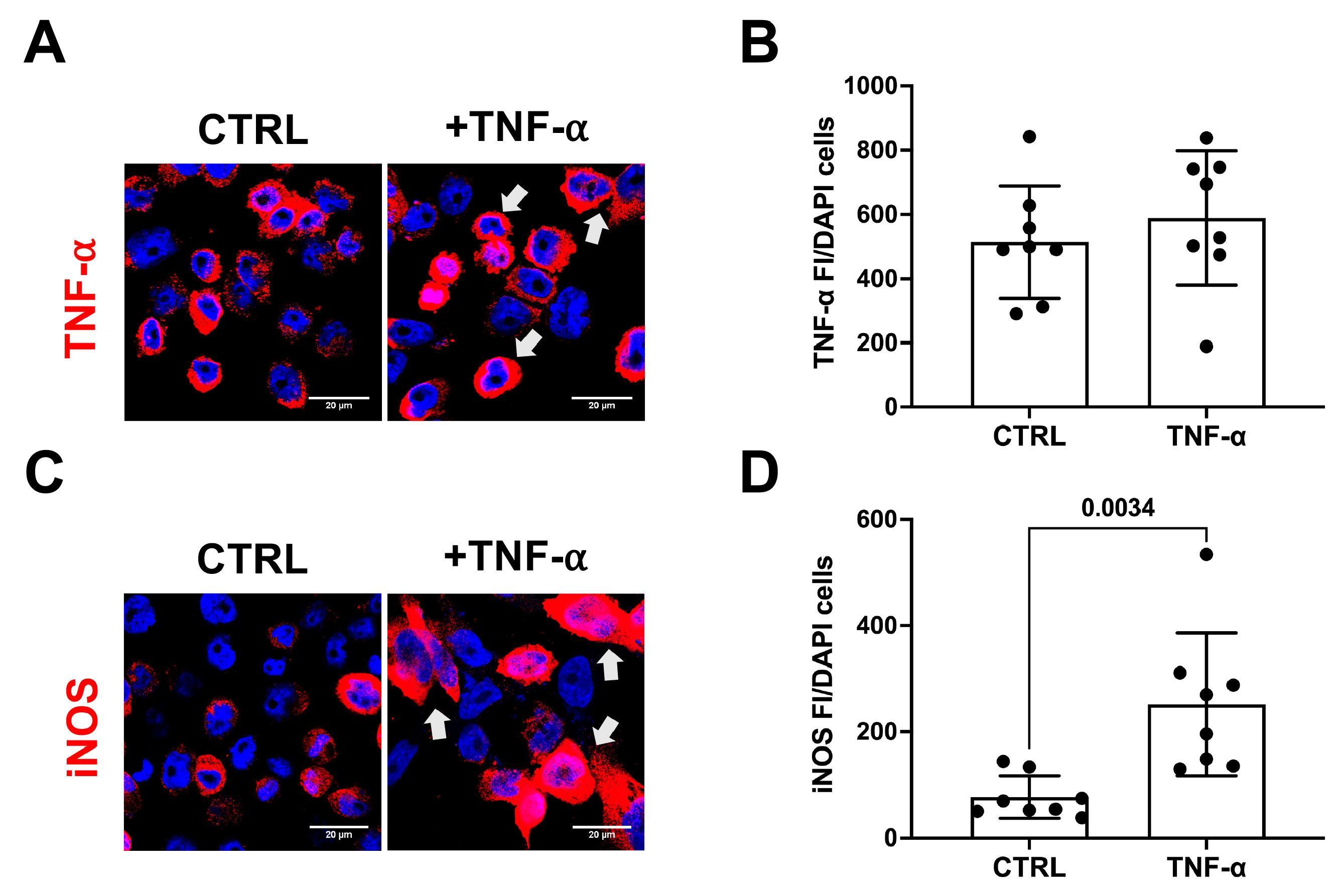 Antioxidants 13 00216 g003