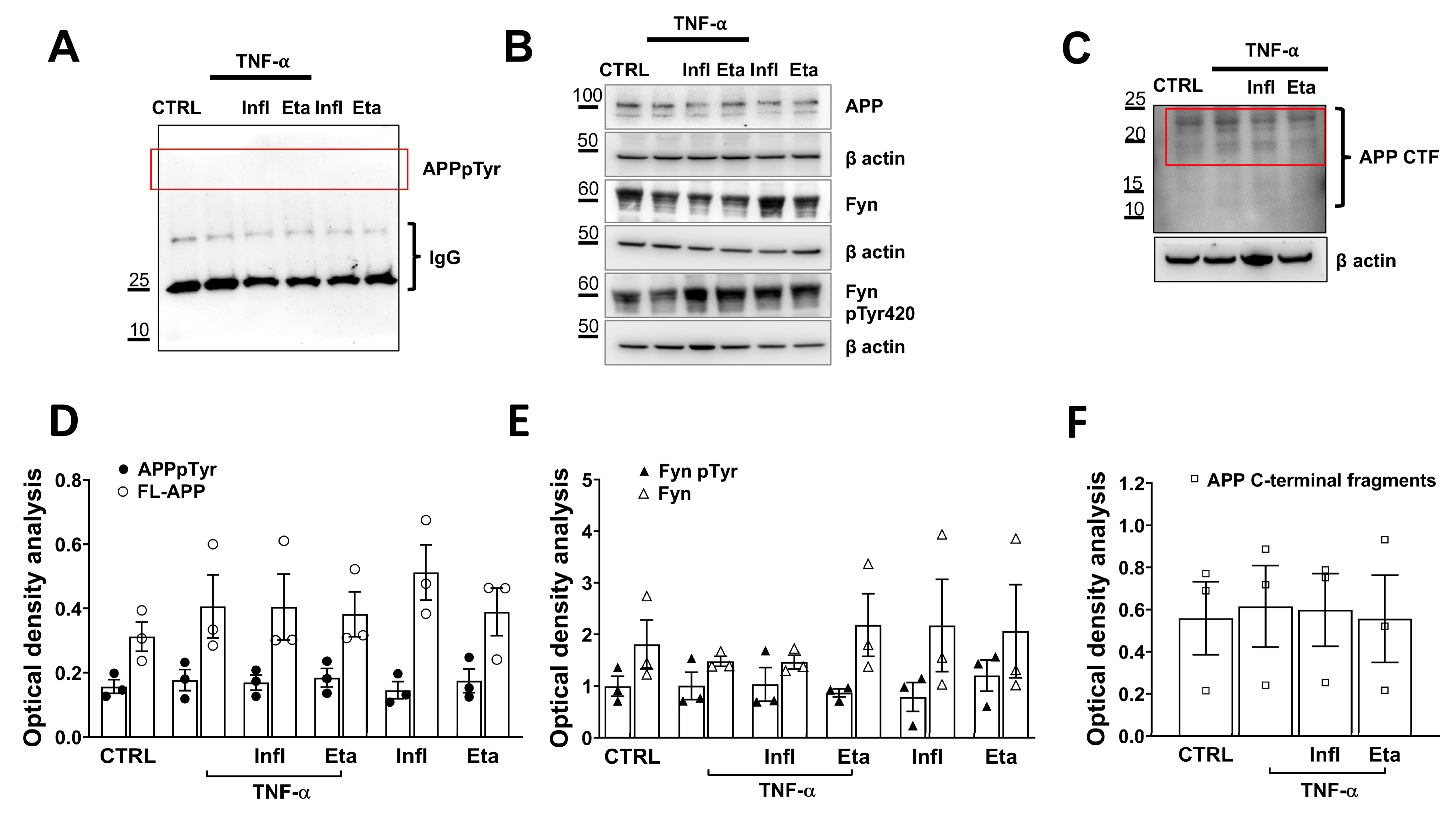 Antioxidants 13 00216 g004