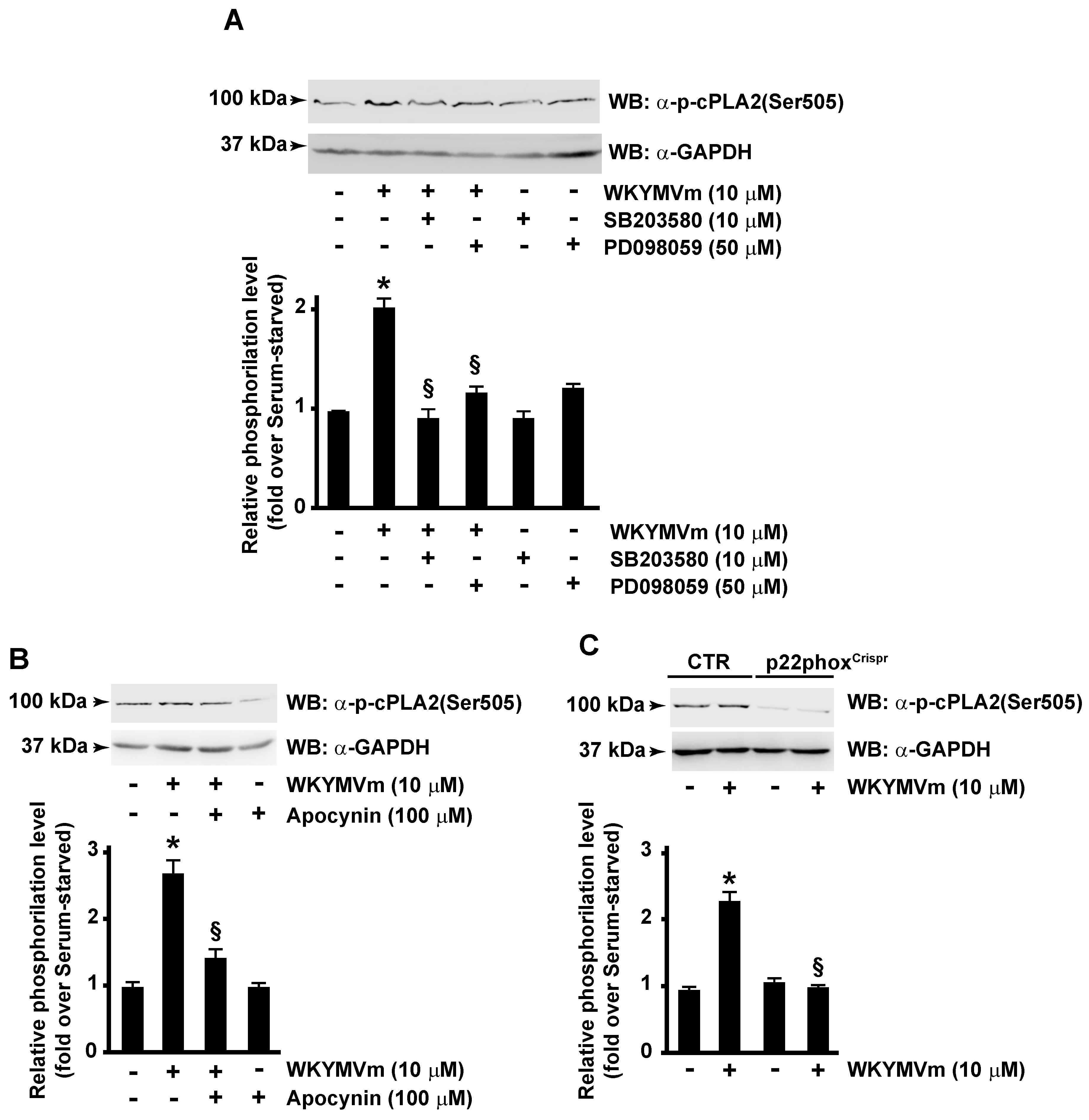 Antioxidants 13 00220 g002