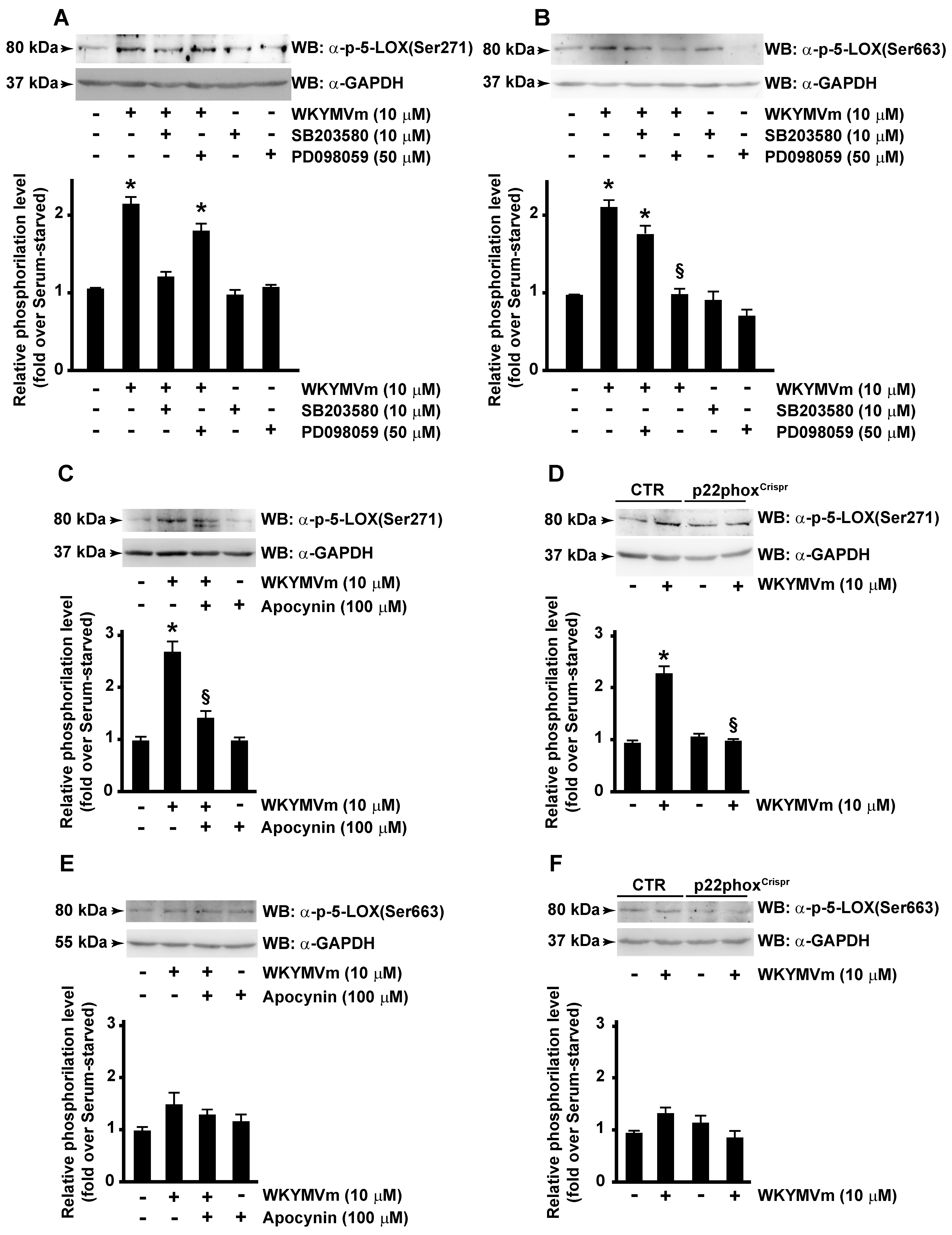 Antioxidants 13 00220 g004