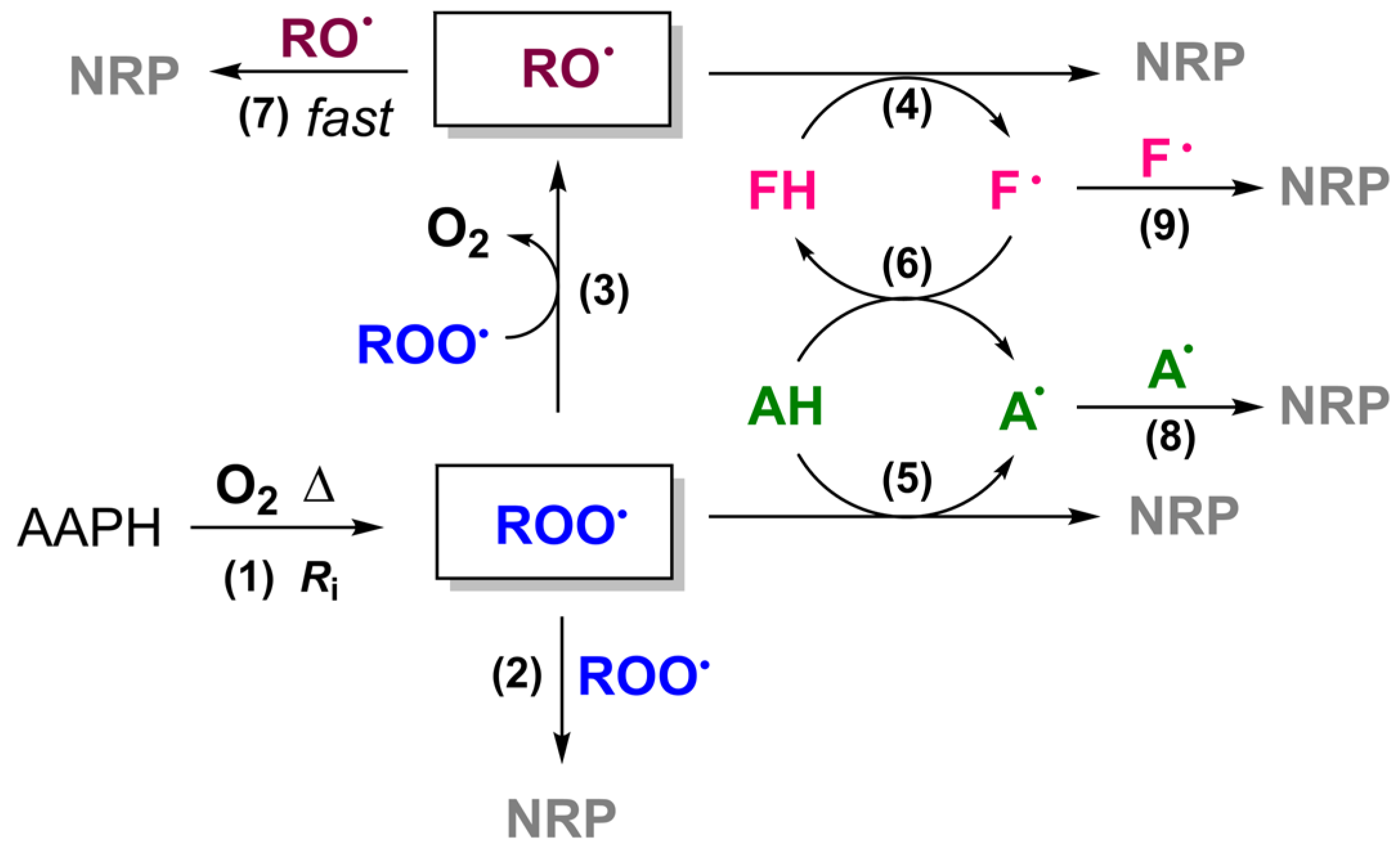 Antioxidants 13 00222 sch001