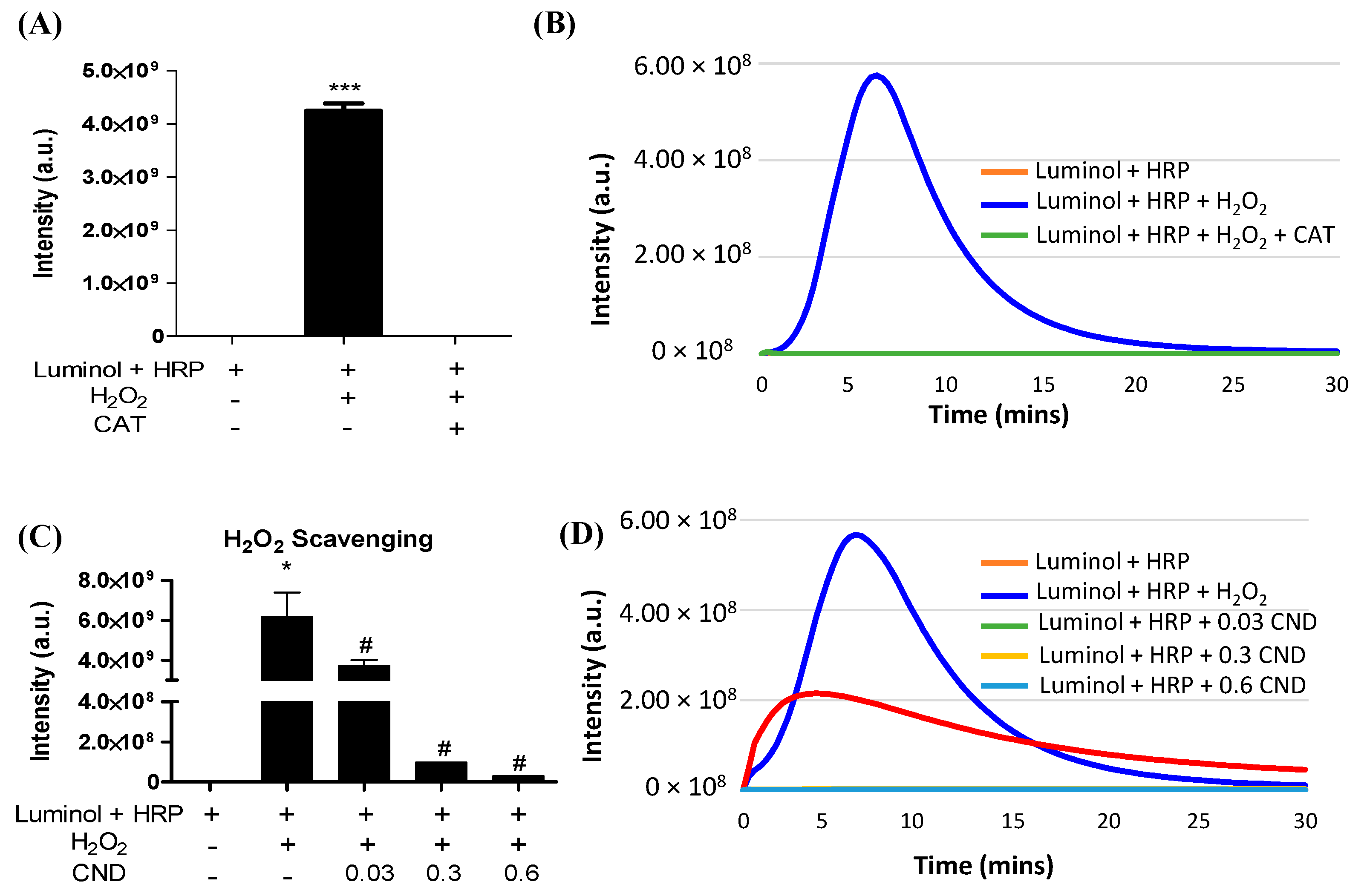Antioxidants 13 00224 g004