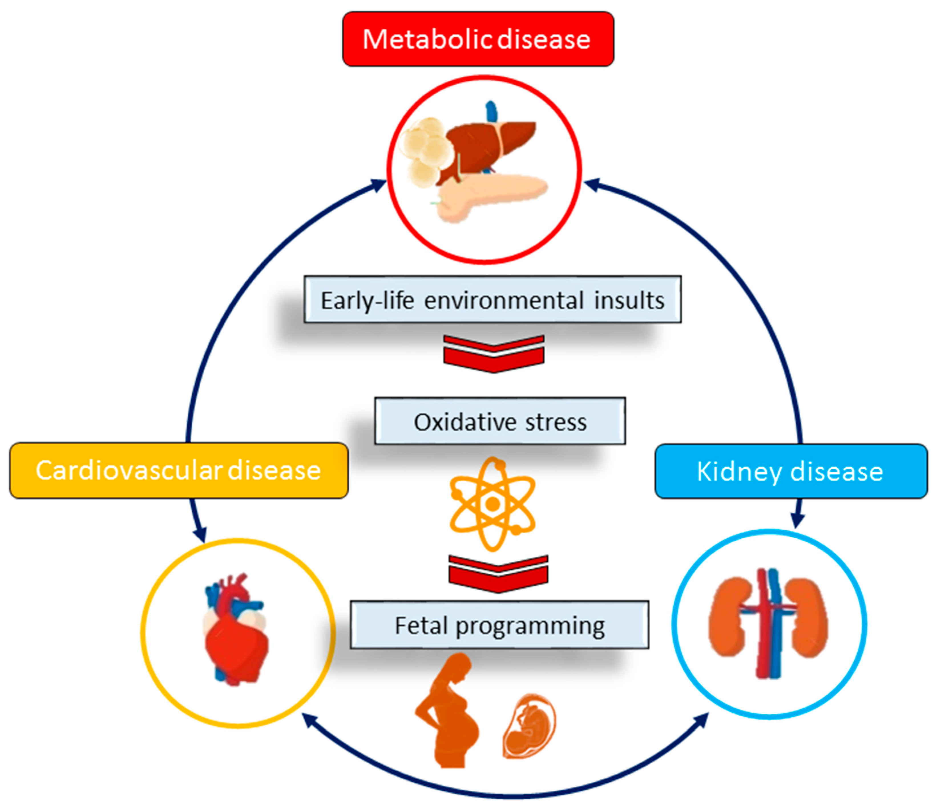 Antioxidants 13 00226 g001