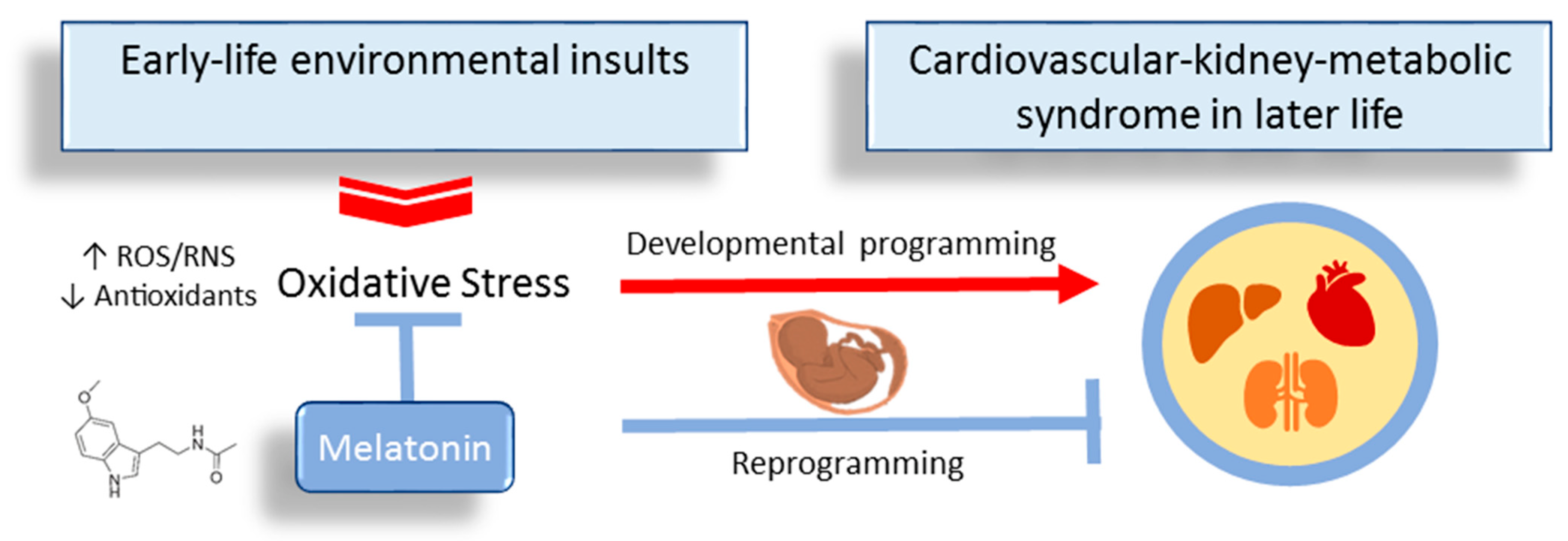 Antioxidants 13 00226 g002