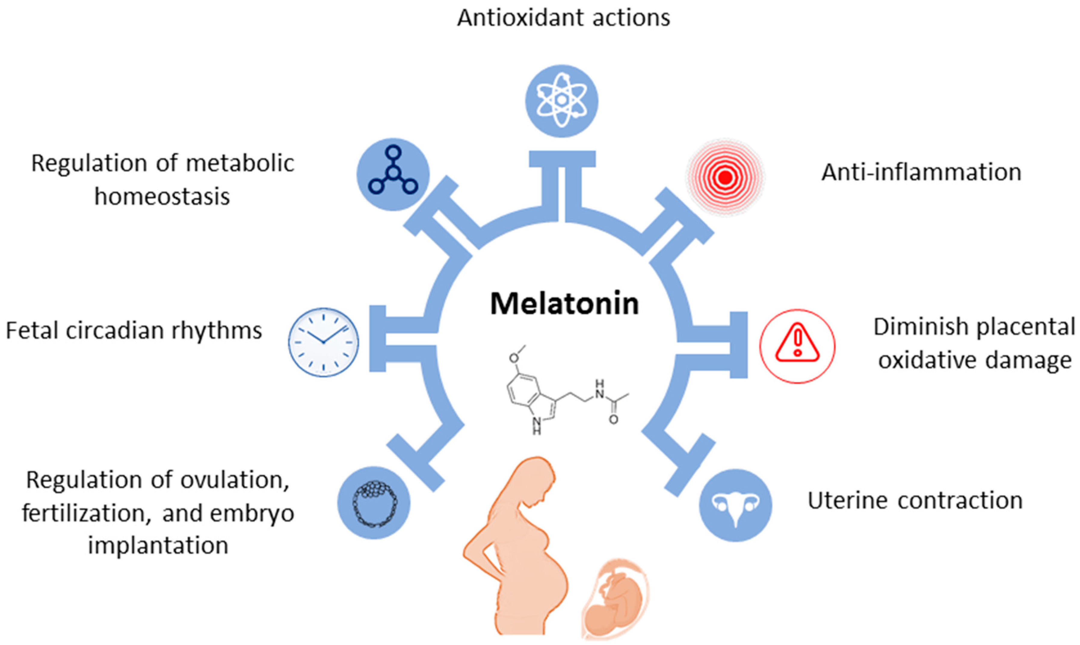 Antioxidants 13 00226 g003