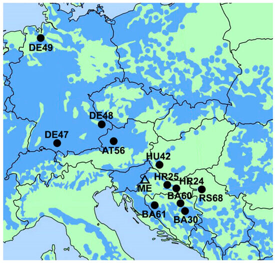 Antioxidants 13 00227 g001
