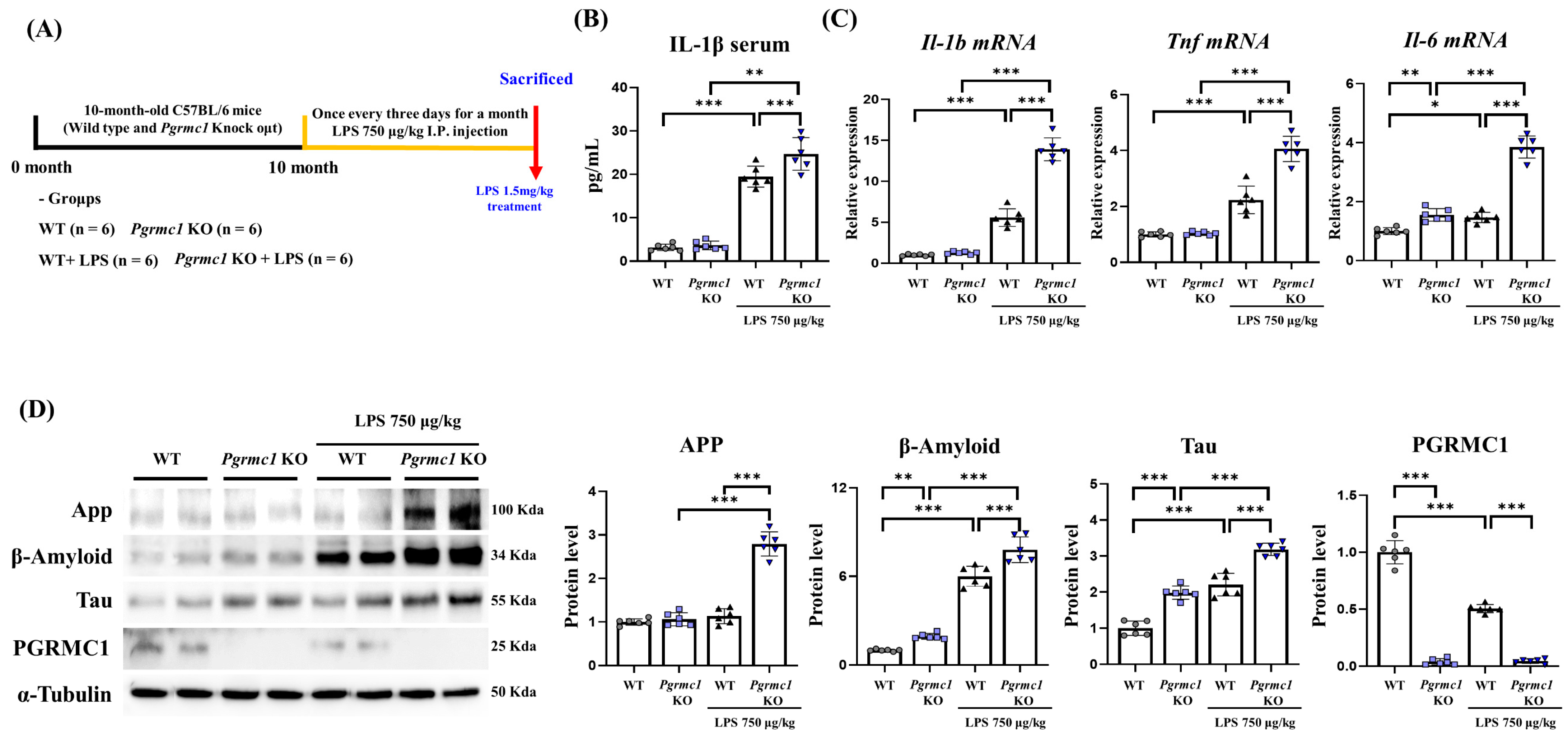 Antioxidants 13 00230 g001