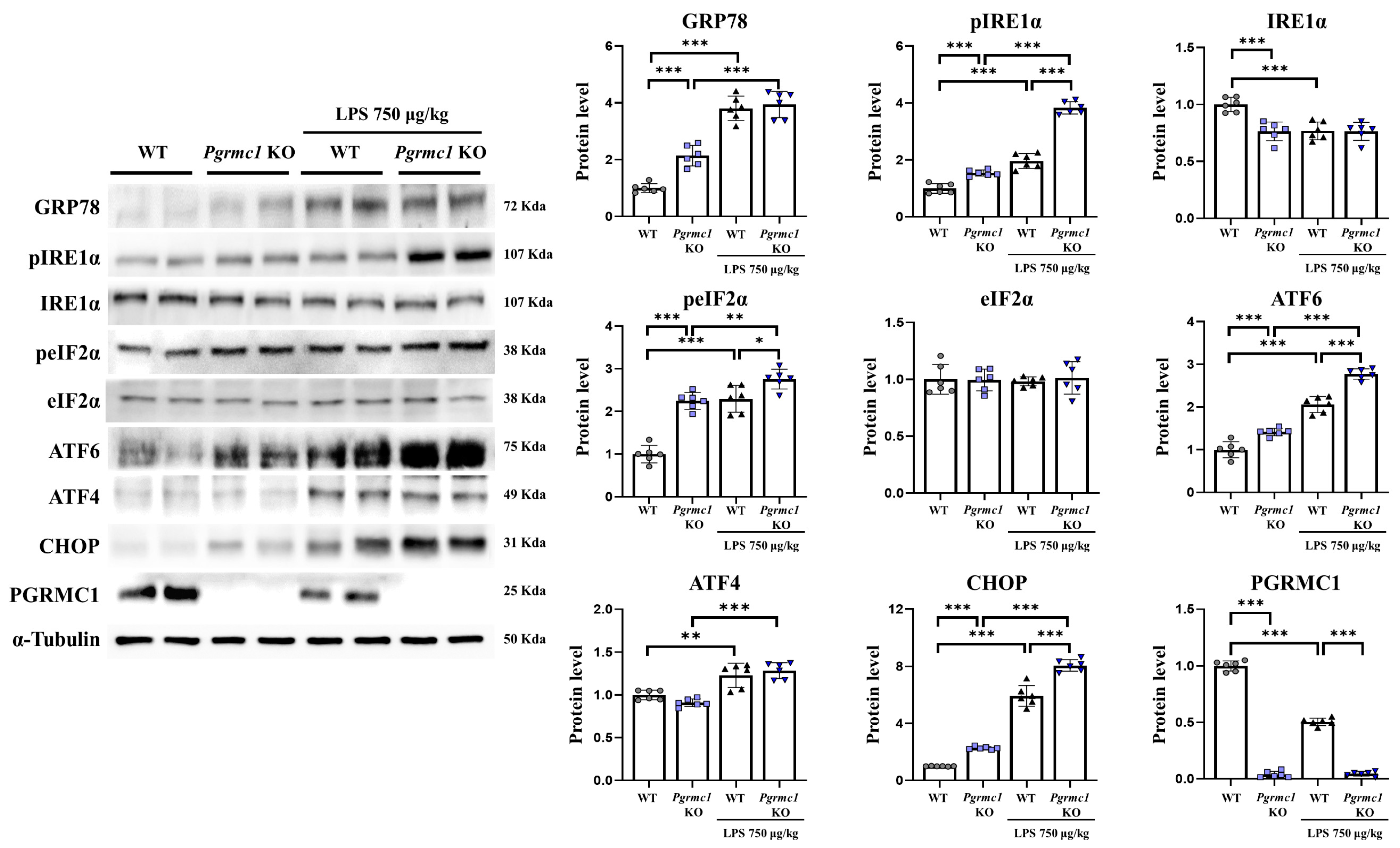 Antioxidants 13 00230 g003