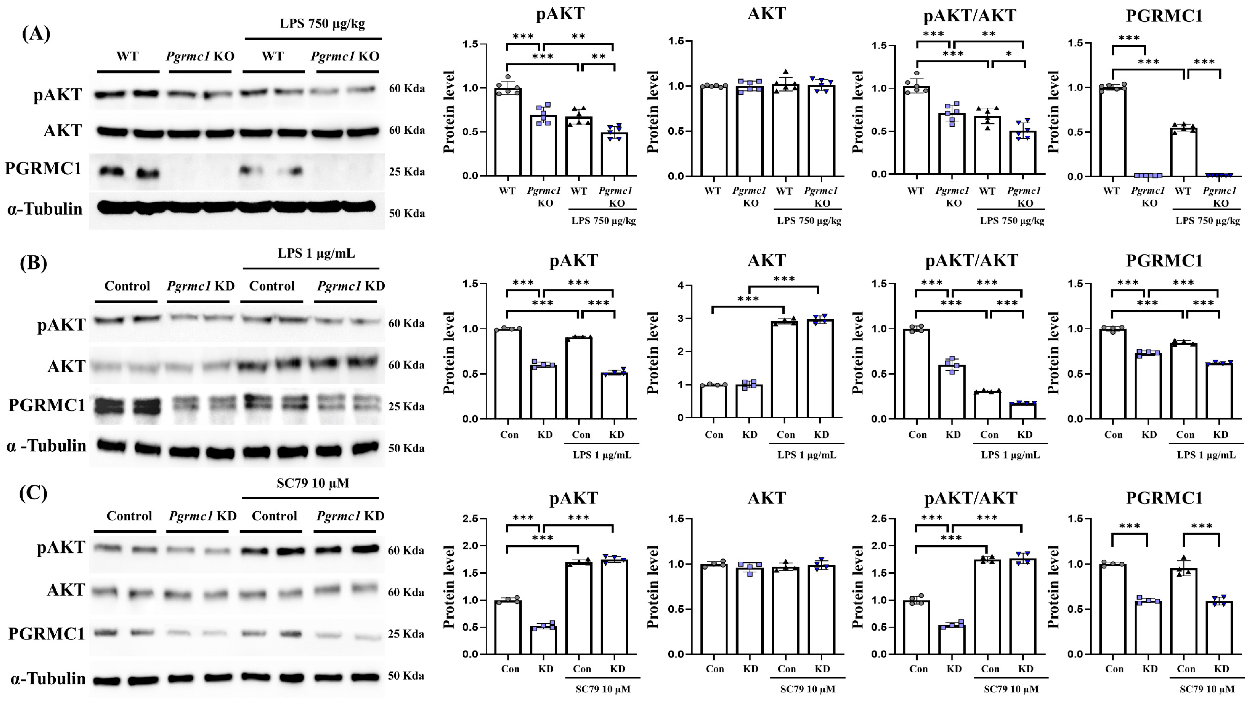 Antioxidants 13 00230 g006