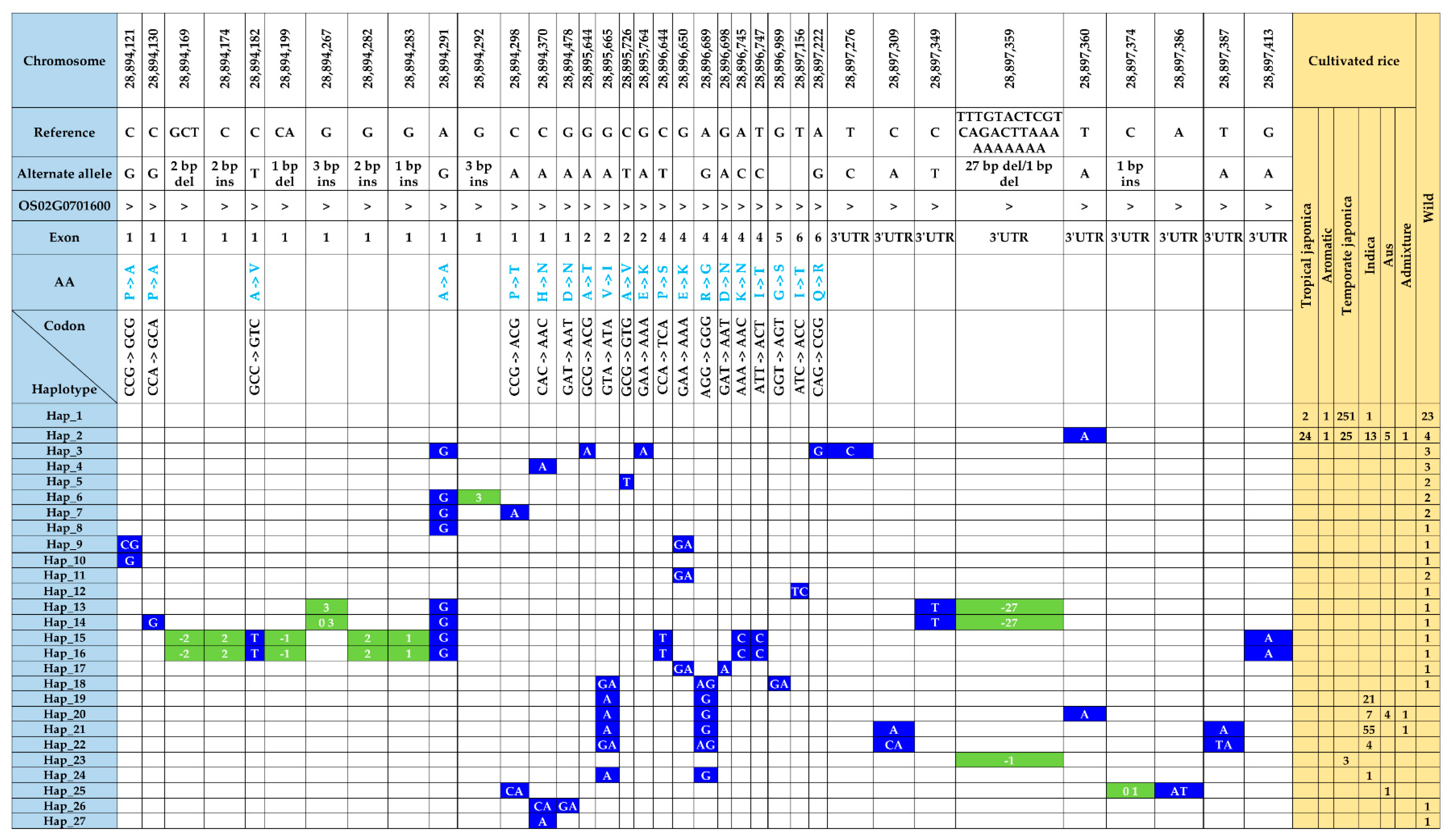 Antioxidants 13 00234 g004