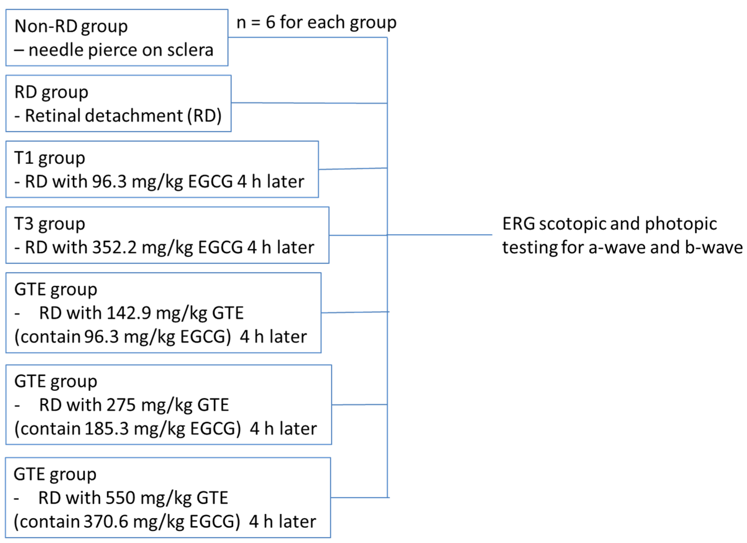 Antioxidants 13 00235 g001