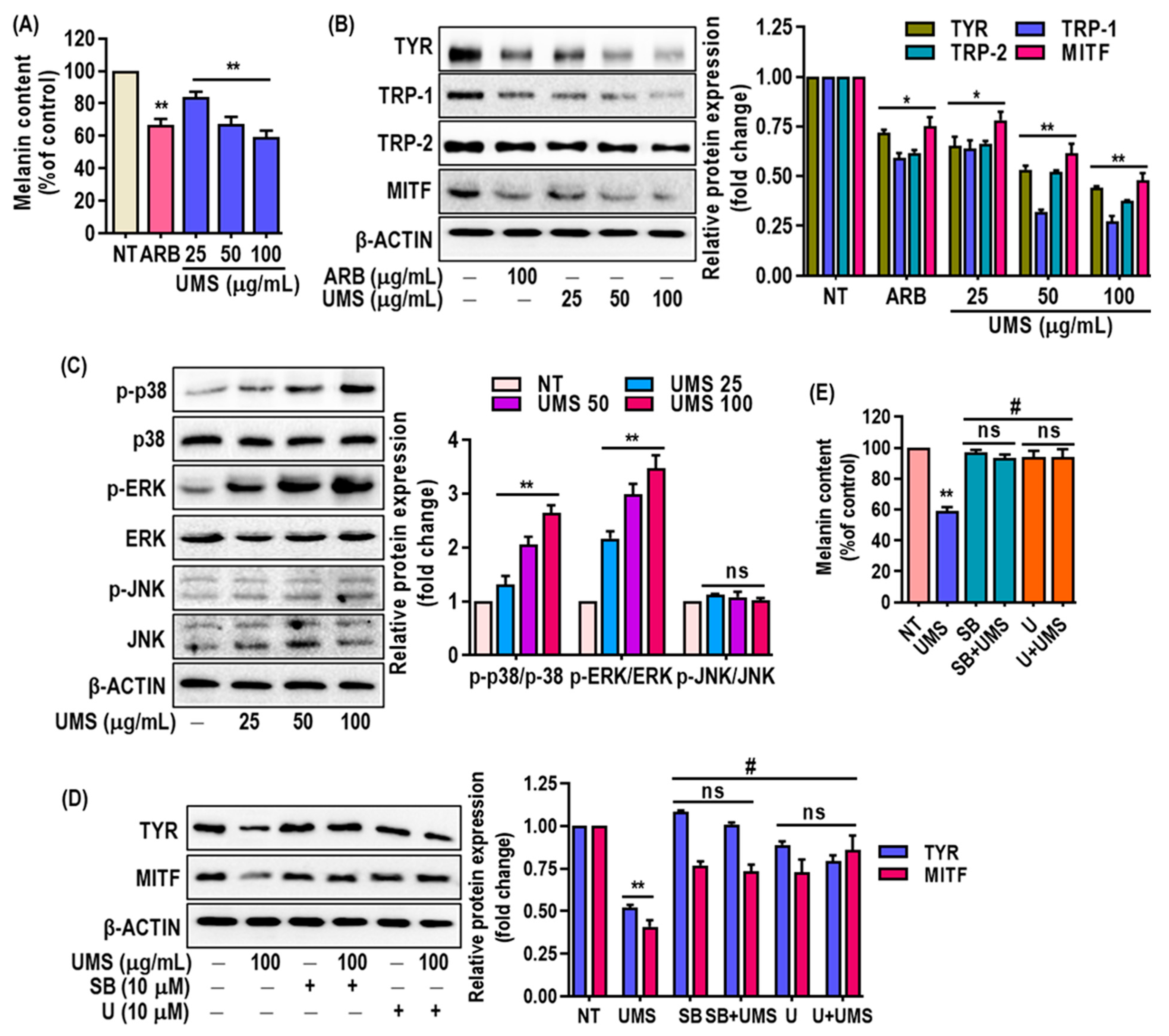 Antioxidants 13 00238 g006