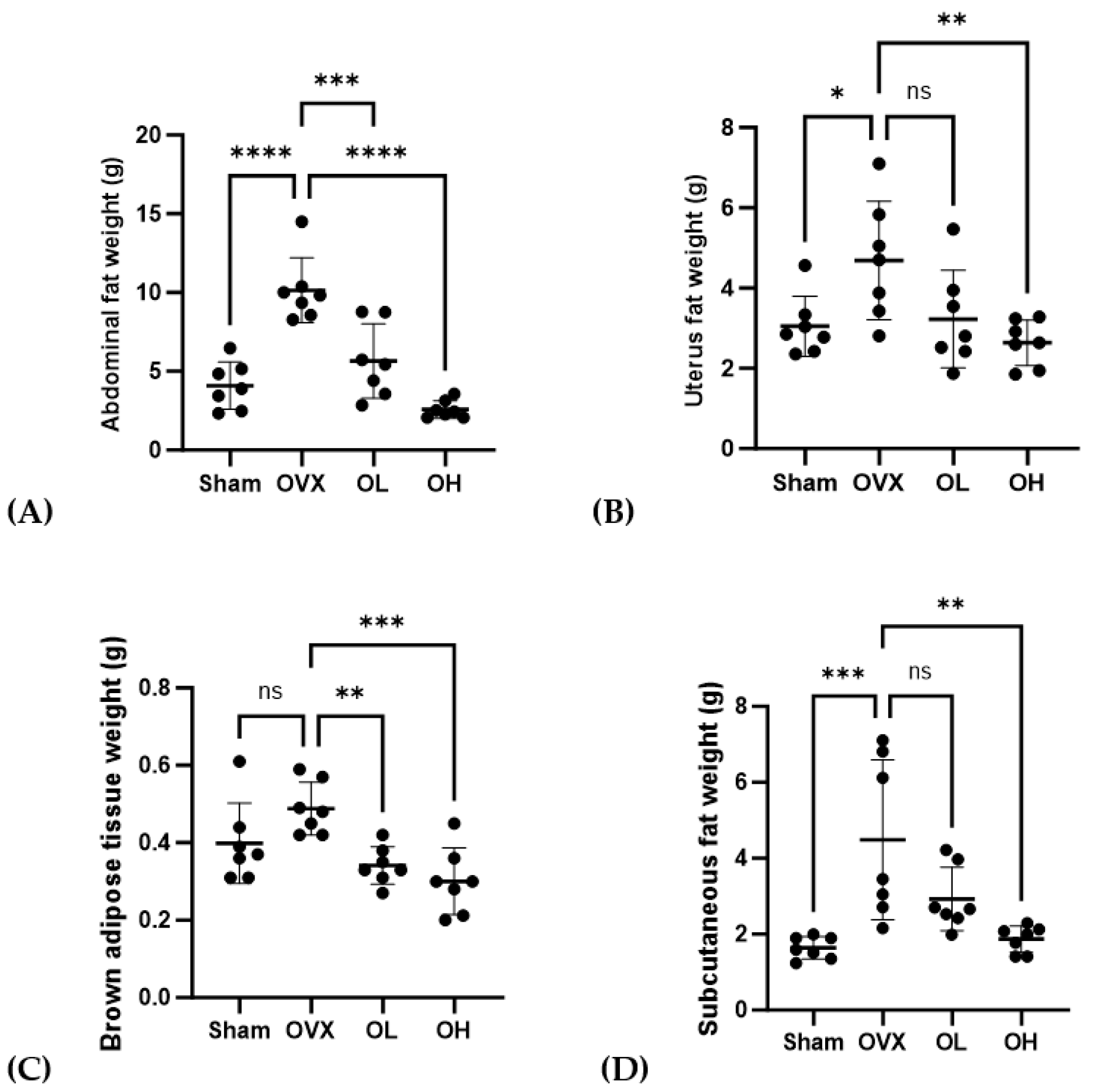 Antioxidants 13 00241 g007