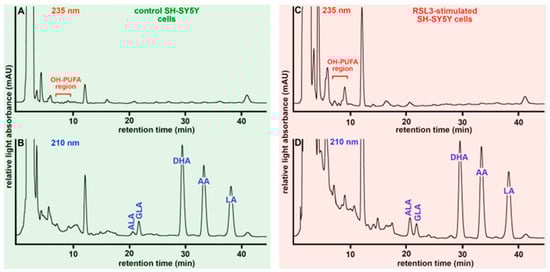 Antioxidants 13 00242 g004