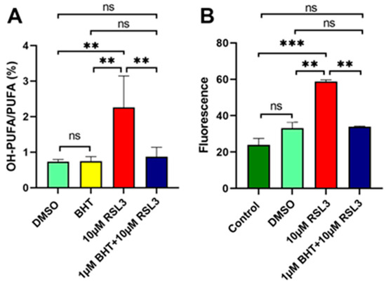 Antioxidants 13 00242 g005