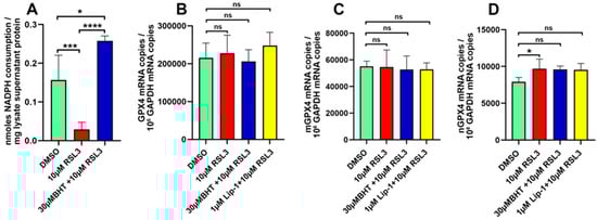 Antioxidants 13 00242 g006