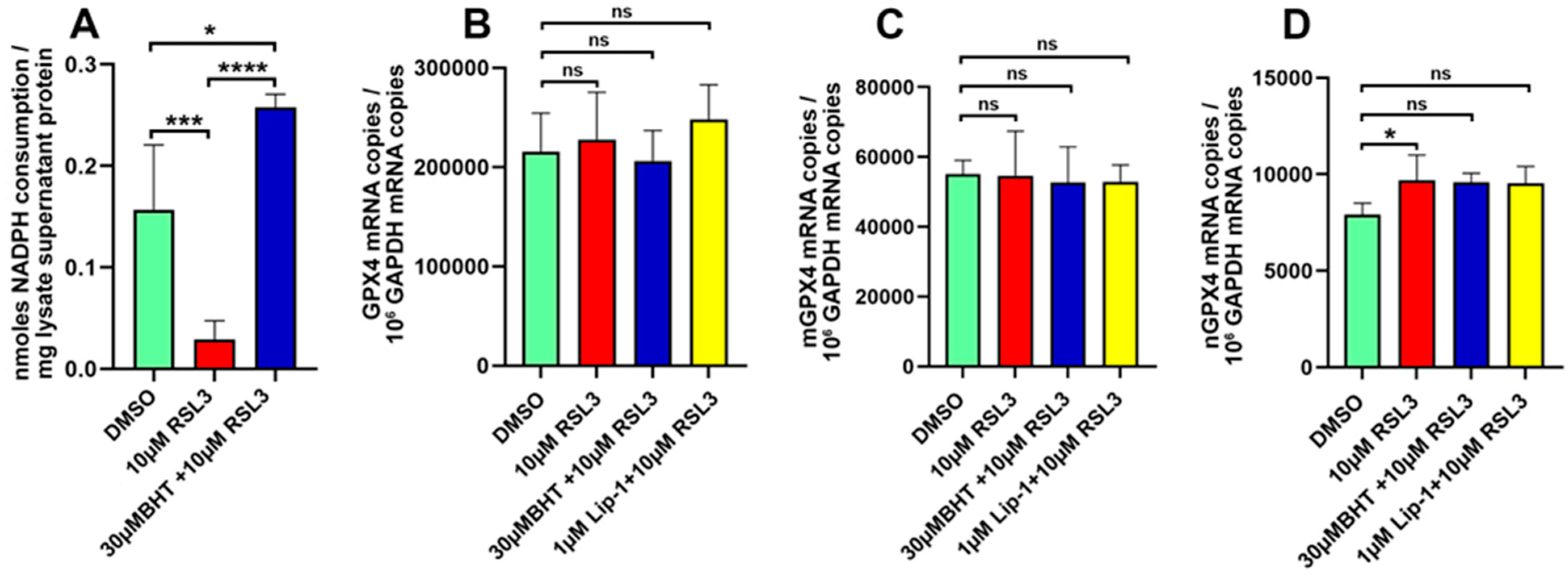 Antioxidants 13 00242 g006