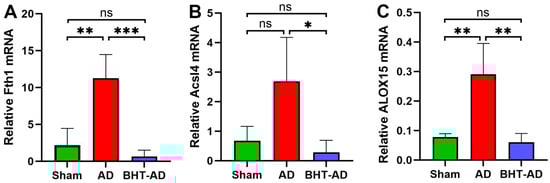 Antioxidants 13 00242 g008